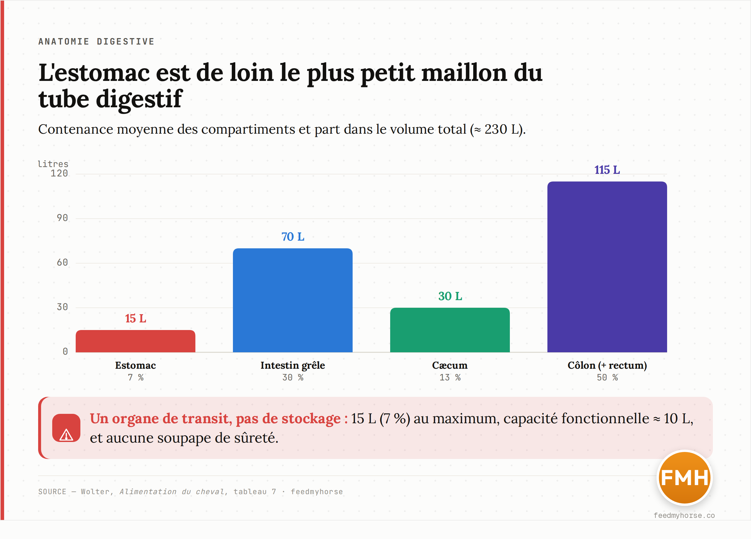 Contenance moyenne des compartiments du tube digestif du cheval et part de chacun dans le volume total (environ 230 L). L'estomac, avec 15 L (7 %) et une capacité fonctionnelle d'environ 10 L, est de loin le plus petit maillon, très en deçà de l'intestin grêle et du côlon. Source : Wolter, Alimentation du cheval, tableau 7.