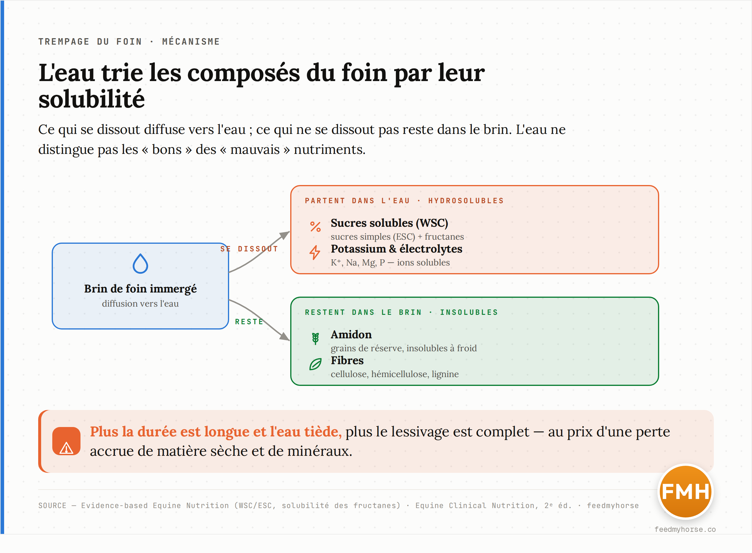 Schéma du mécanisme du trempage : le brin de foin, immergé, laisse diffuser vers l'eau les molécules hydrosolubles — sucres solubles (WSC) et potassium ou électrolytes (K+) — tandis que l'amidon et les fibres, insolubles, restent dans le brin. Plus la durée est longue et l'eau tiède, plus le lessivage est complet, au prix d'une perte accrue de matière sèche et de minéraux.