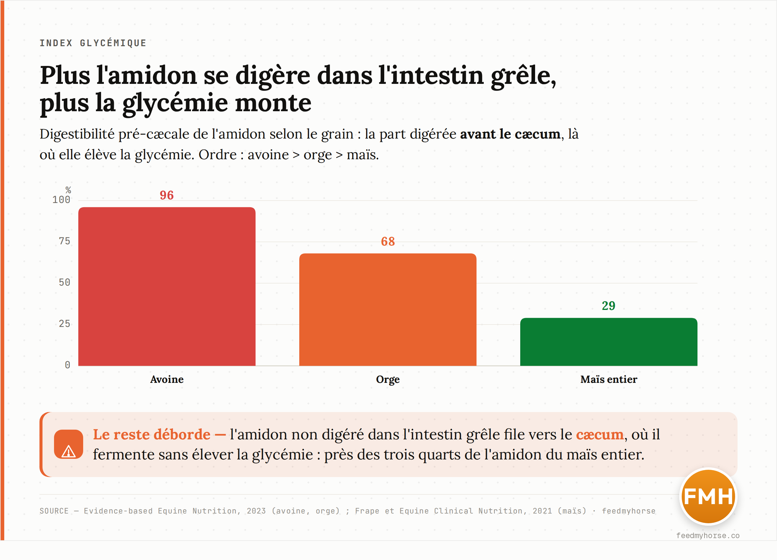 Digestibilité pré-cæcale de l'amidon selon le grain : l'amidon de l'avoine est presque entièrement digéré dans l'intestin grêle (environ 96 %, où il élève la glycémie), l'orge moins (environ 68 %), et le maïs entier peu (environ 29 %) — le reste déborde vers le cæcum où il est fermenté. Sources : Evidence-based Equine Nutrition (2023) pour avoine et orge ; Frape et Equine Clinical Nutrition (2021) pour le maïs.