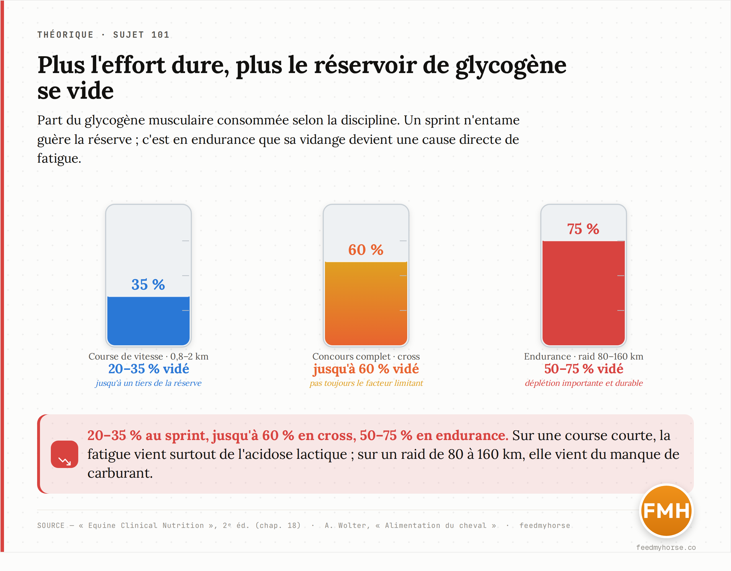 Part du glycogène musculaire vidée selon la discipline : 20 à 35 % sur une course de vitesse (0,8–2 km), jusqu'à 60 % en concours complet (cross), et 50 à 75 % sur un raid d'endurance de 80 à 160 km. C'est en endurance que la déplétion devient une cause directe de fatigue. Source : Equine Clinical Nutrition, 2e éd. (chap. 18) et A. Wolter, Alimentation du cheval.