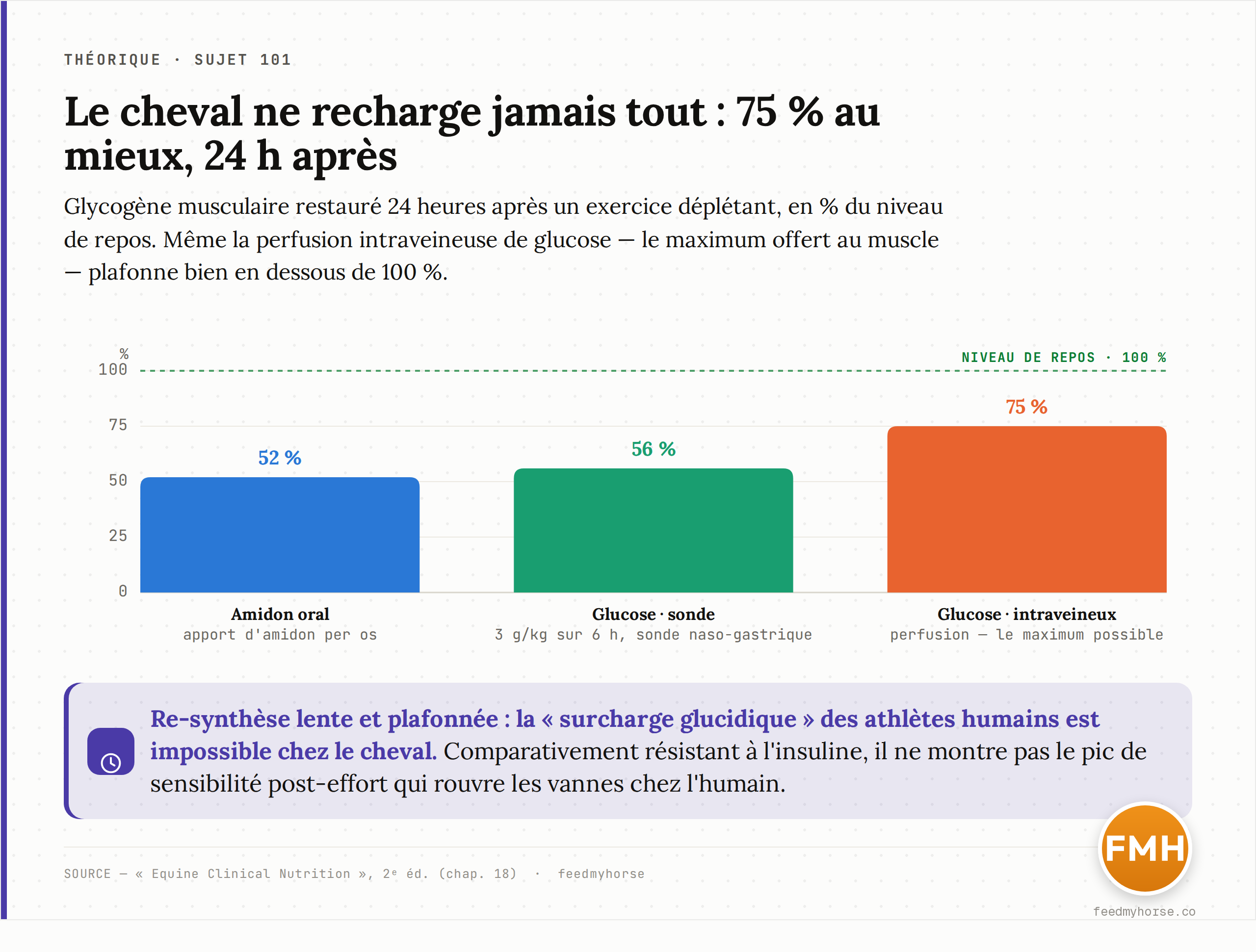 Re-synthèse du glycogène musculaire 24 heures après un exercice déplétant, en % du niveau de repos : l'amidon oral n'en restaure que 52 %, le glucose par sonde naso-gastrique 56 %, et même la perfusion intraveineuse de glucose plafonne à 75 %. Le cheval ne recharge jamais complètement, ce qui rend la surcharge glucidique à l'humaine impossible. Source : Equine Clinical Nutrition, 2e éd. (chap. 18).
