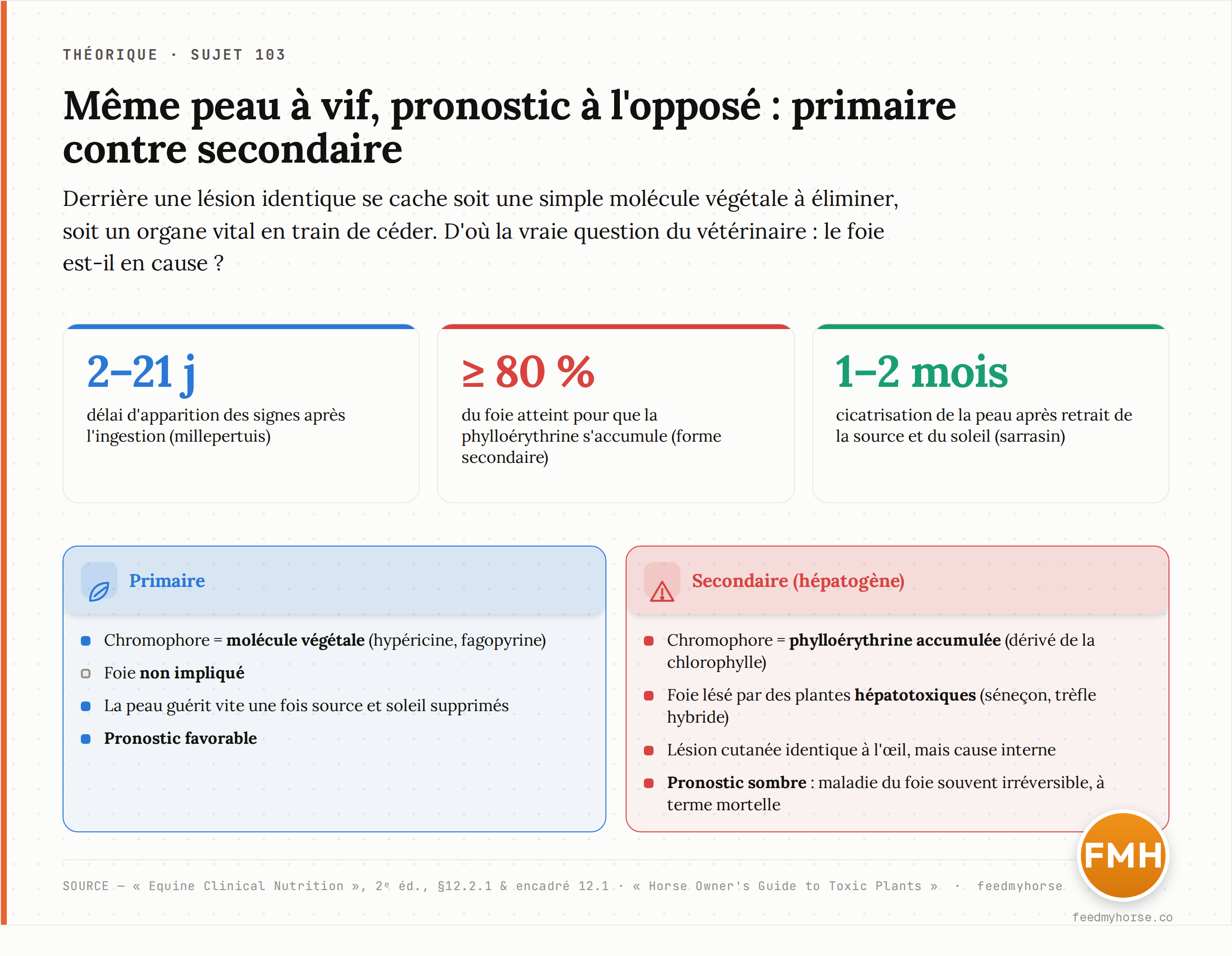 Comparaison primaire / secondaire. Chiffres-clés : signes 2 à 21 jours après l'ingestion (millepertuis) ; ≥ 80 % du foie atteint pour déclencher la forme secondaire ; cicatrisation en 1 à 2 mois après retrait de la source et du soleil (sarrasin). Primaire : chromophore végétal, foie non impliqué, pronostic favorable. Secondaire (hépatogène) : phylloérythrine accumulée, foie lésé par des plantes hépatotoxiques, pronostic sombre (maladie du foie souvent irréversible). Source : Equine Clinical Nutrition, 2ᵉ éd., §12.2.1 et encadré 12.1.