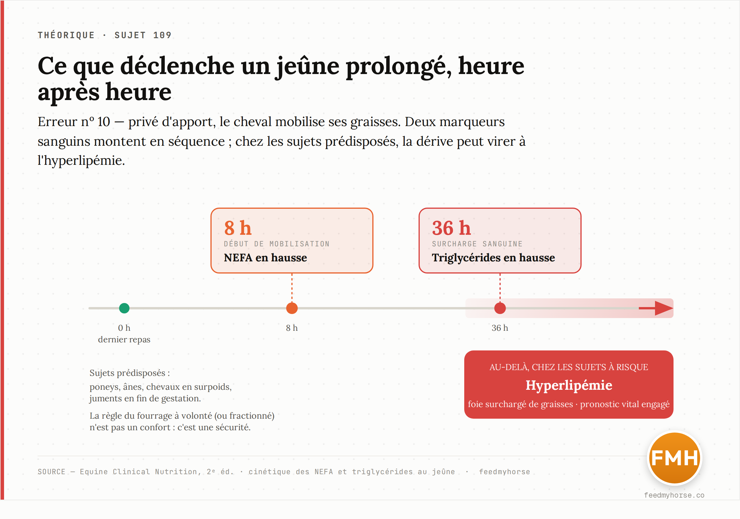 La cinétique du jeûne prolongé : les acides gras non estérifiés (NEFA) montent dans le sang dès 8 heures de privation, les triglycérides après 36 heures ; chez les sujets prédisposés, cet emballement peut virer à l'hyperlipémie, une surcharge grasse du foie au pronostic vital engagé. Source : Equine Clinical Nutrition, 2ᵉ éd. · feedmyhorse
