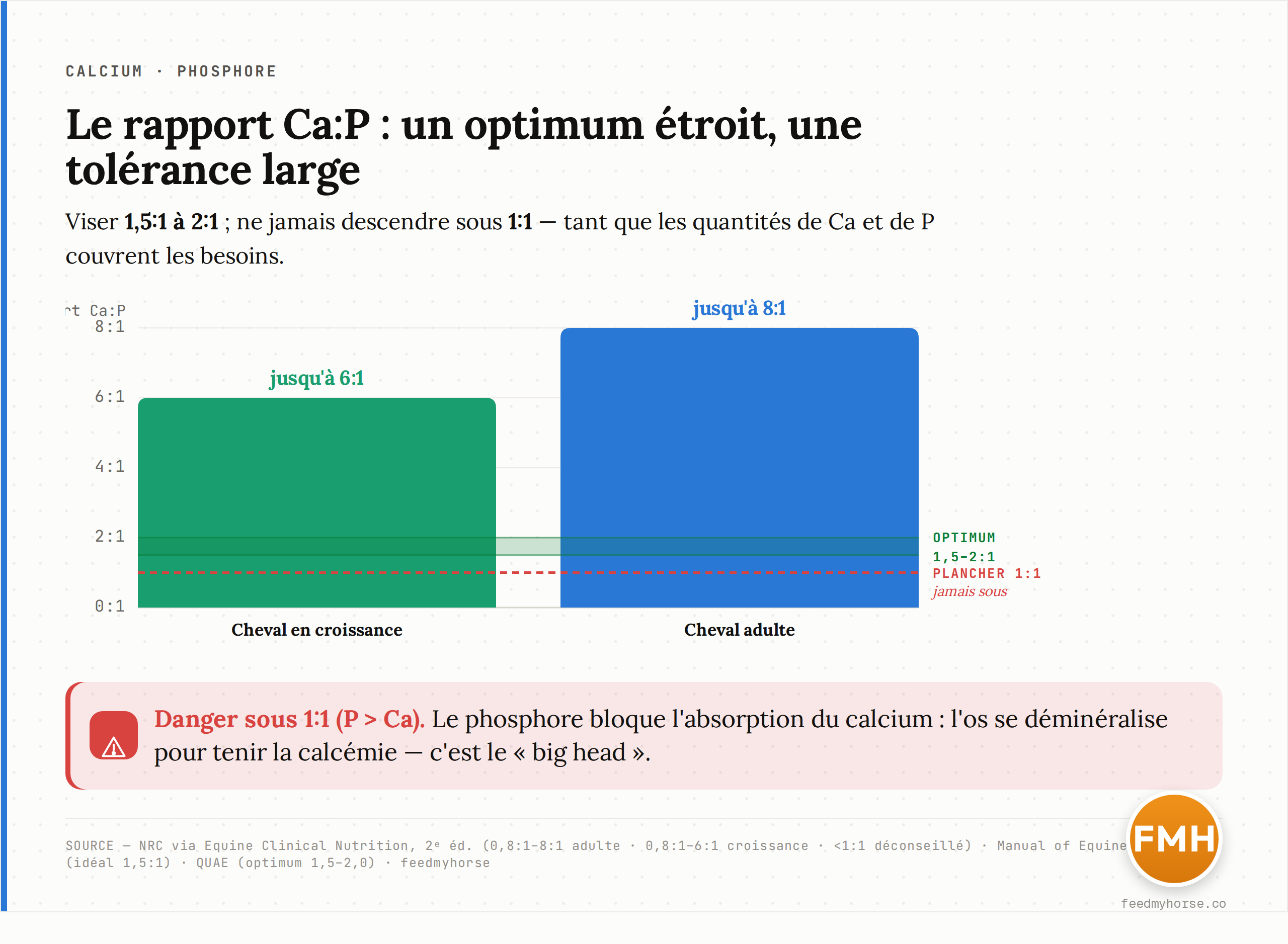 Positionnement du rapport Ca:P : zone dangereuse quand P > Ca (rapport inferieur a 1:1, risque de mobilisation osseuse et de "big head"), optimum etroit entre 1,5:1 et 2:1, et plage large toleree jusqu'a 6:1 (croissance) voire 8:1 (adulte) tant que les quantites de calcium et de phosphore sont suffisantes. Sources : NRC via Equine Clinical Nutrition 2e ed. ; Manual of Equine Nutrition ; QUAE.