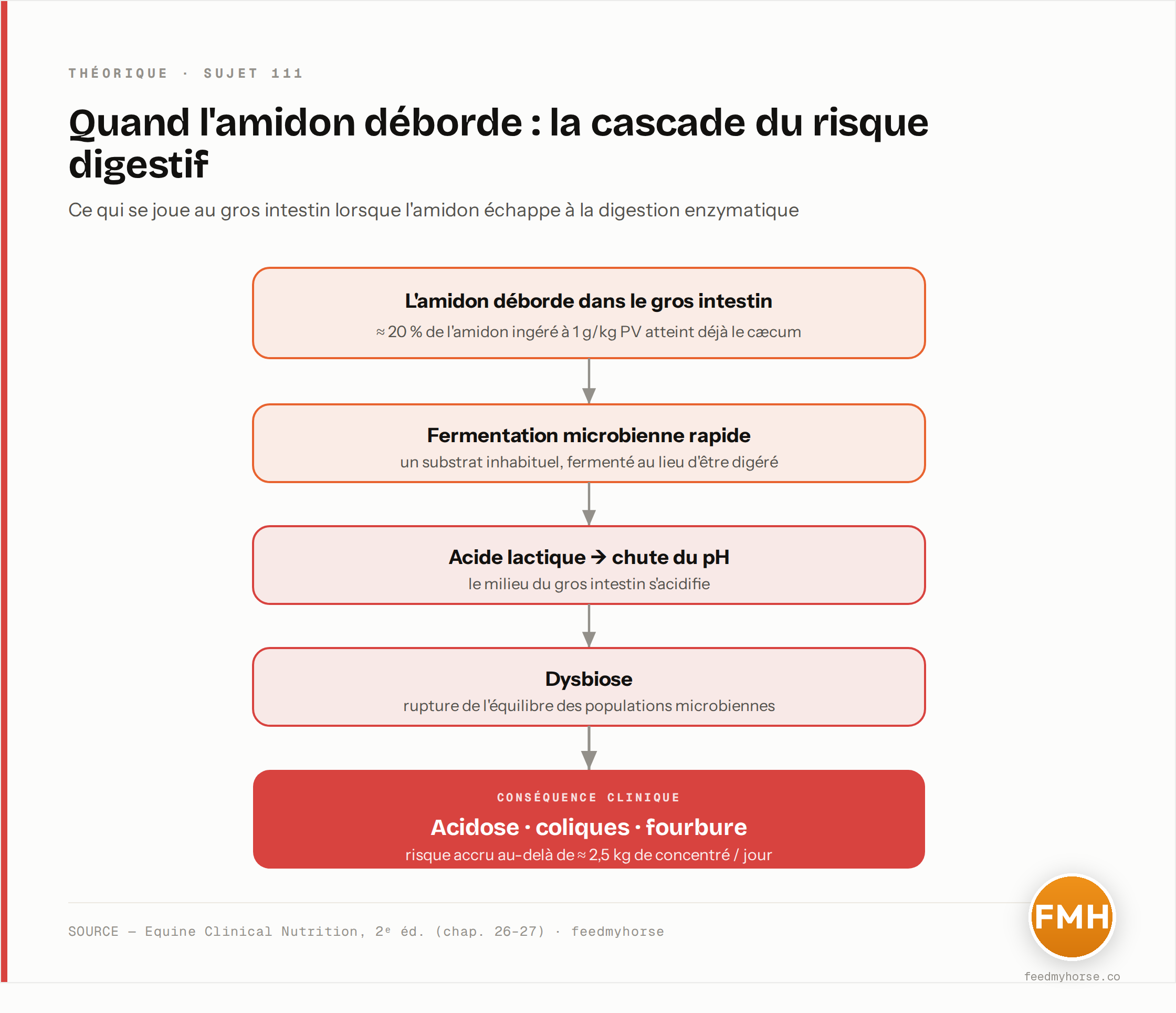 Cascade du risque digestif : l'amidon qui déborde dans le gros intestin (≈ 20 % de l'amidon ingéré à 1 g/kg PV) est fermenté rapidement, produit de l'acide lactique et fait chuter le pH, provoquant une dysbiose puis acidose, coliques et fourbure — risque accru au-delà de ≈ 2,5 kg de concentré par jour. Source : Equine Clinical Nutrition, 2e éd. (chap. 26-27).