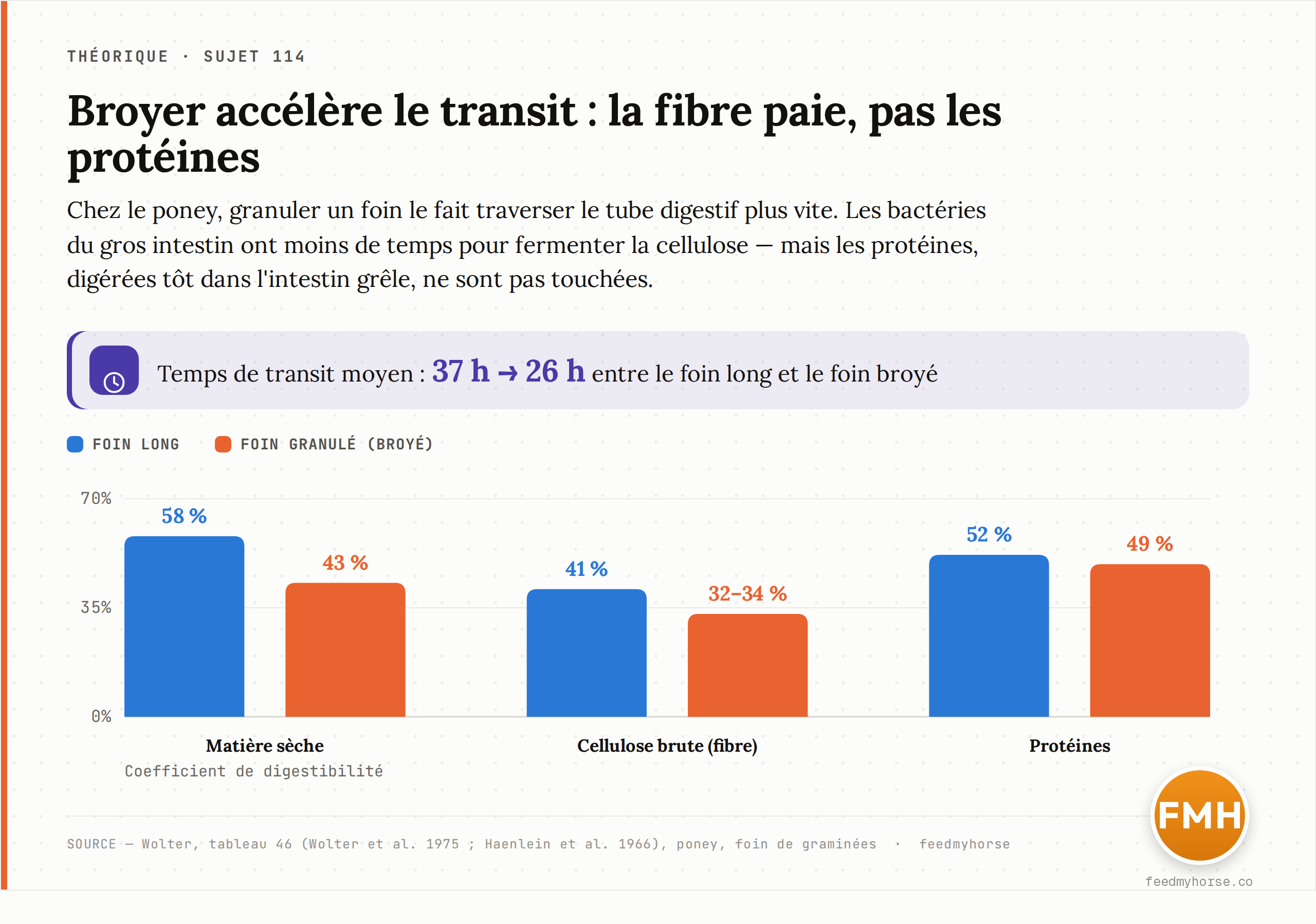 Chez le poney, broyer puis granuler un foin de graminées raccourcit le transit de 37 h à 26 h : la fibre, la plus lente à fermenter, est la plus pénalisée (cellulose brute 41 → 33 %, matière sèche 58 → 43 %) tandis que la digestibilité des protéines, attaquées tôt dans l'intestin grêle, bouge à peine (52 → 49 %). Source : Wolter, tableau 46 (Wolter et al. 1975 ; Haenlein et al. 1966).