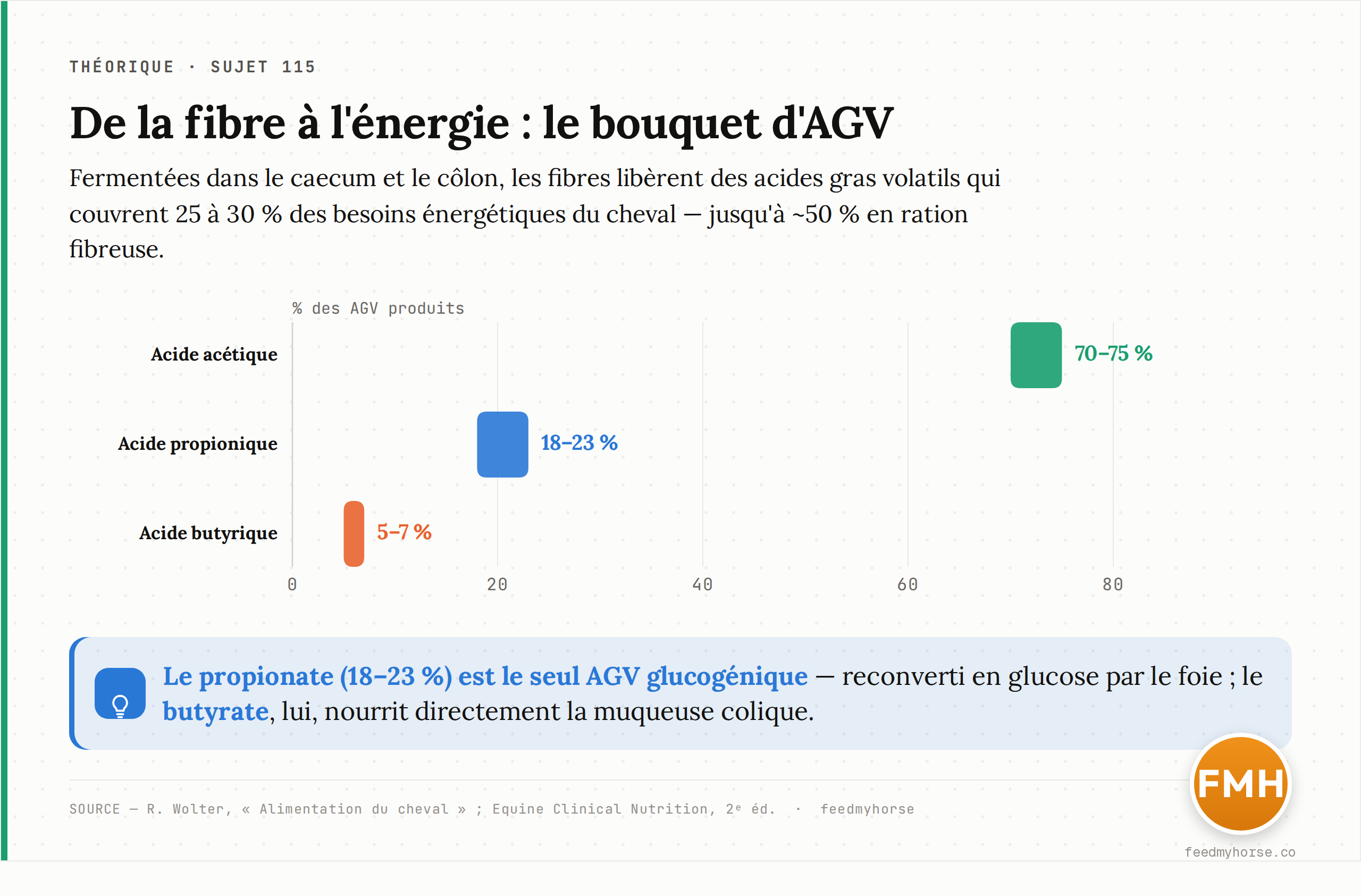 Répartition des AGV issus de la fermentation d'un foin : acétate 70-75 %, propionate 18-23 %, butyrate 5-7 % ; ces AGV couvrent 25 à 30 % des besoins énergétiques du cheval, jusqu'à ~50 % en ration fibreuse (Wolter ; Equine Clinical Nutrition, 2e éd.).