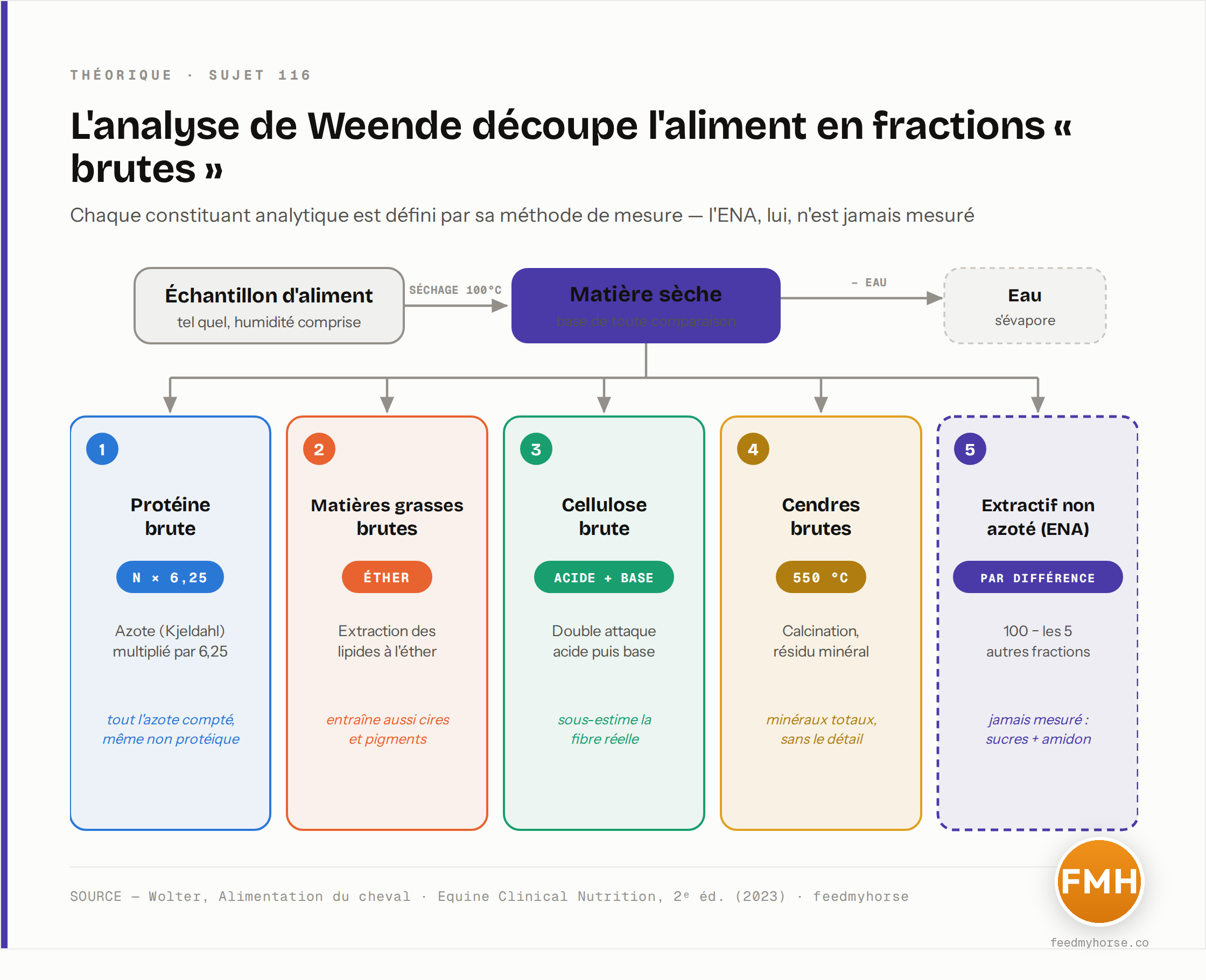 Schéma de l'analyse de Weende : après séchage à 100 °C, la matière sèche est fractionnée en cinq déterminations — protéine brute (azote de Kjeldahl × 6,25), matières grasses brutes (extraction à l'éther), cellulose brute (attaque acide + base), cendres brutes (calcination à 550 °C), et l'ENA calculé par différence (100 − les cinq autres fractions). Chaque constituant est défini par sa méthode, pas par sa nature. Source : Wolter, Alimentation du cheval ; Equine Clinical Nutrition, 2ᵉ éd. (2023).