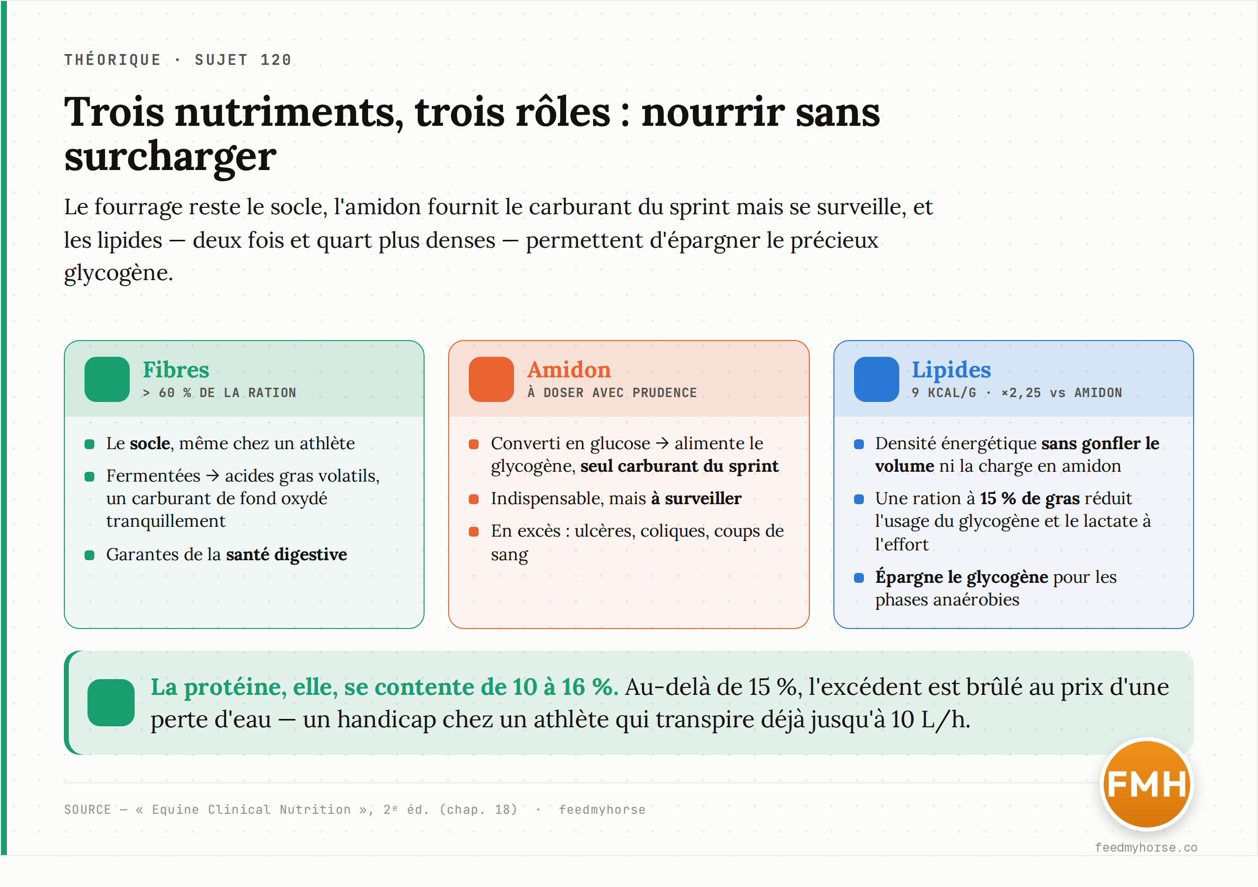 Les trois familles de nutriments d'une ration de cheval de course : le fourrage (fibres) reste majoritaire à plus de 60 % de la ration et sert de socle énergétique ; l'amidon apporte le seul carburant du sprint mais reste à surveiller ; les lipides, deux fois et quart plus denses que l'amidon (9 kcal/g contre 4), permettent d'épargner le glycogène — une ration à 15 % de gras réduit l'usage du glycogène et le lactate à l'effort. La protéine se contente de 10 à 16 % (Equine Clinical Nutrition, 2e éd.).