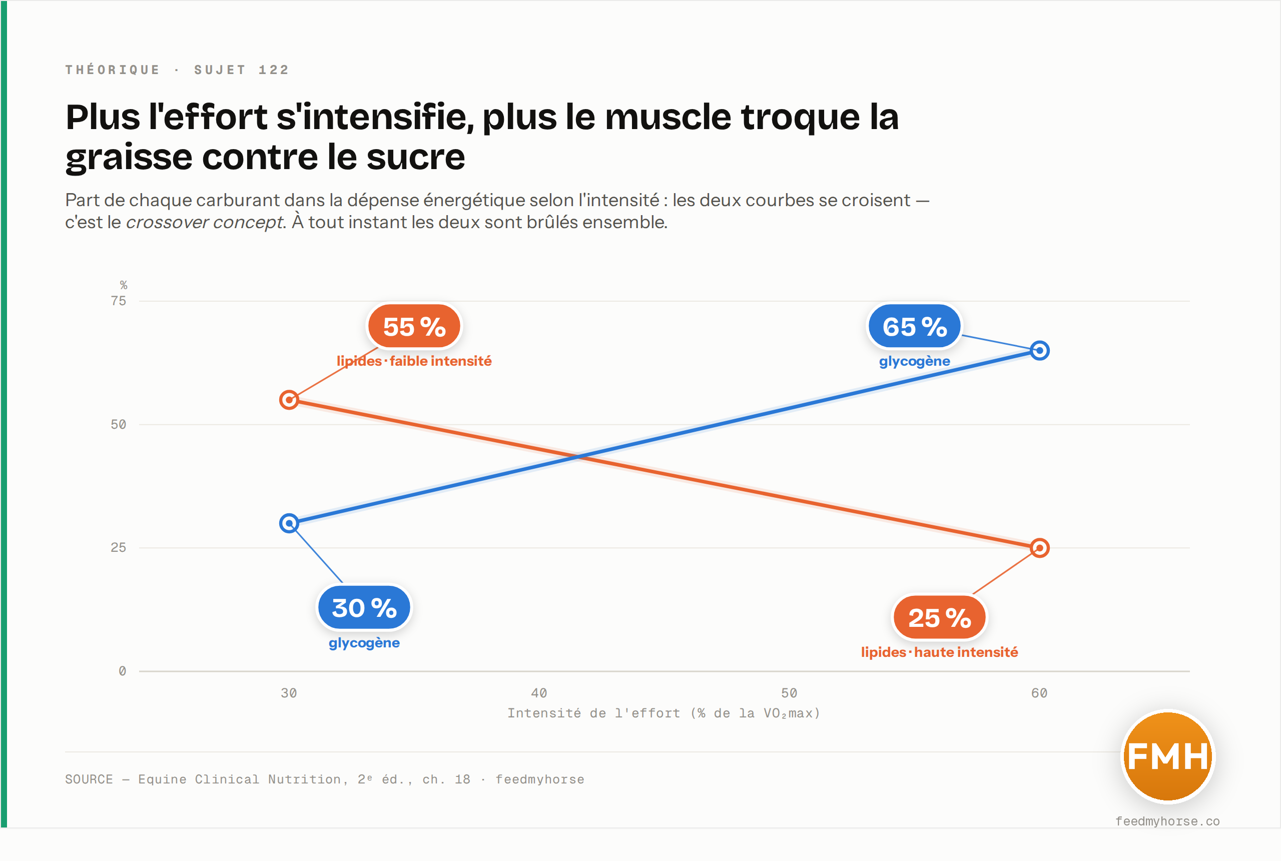 Le crossover concept : à faible intensité les lipides fournissent environ 55 % de la dépense énergétique et le glycogène musculaire environ 30 % ; à plus haute intensité (60 % de la VO₂max) les proportions s'inversent — lipides ~25 %, glycogène ~65 %. Les deux carburants sont brûlés simultanément à tout instant. Source : Equine Clinical Nutrition, 2e éd., ch. 18.