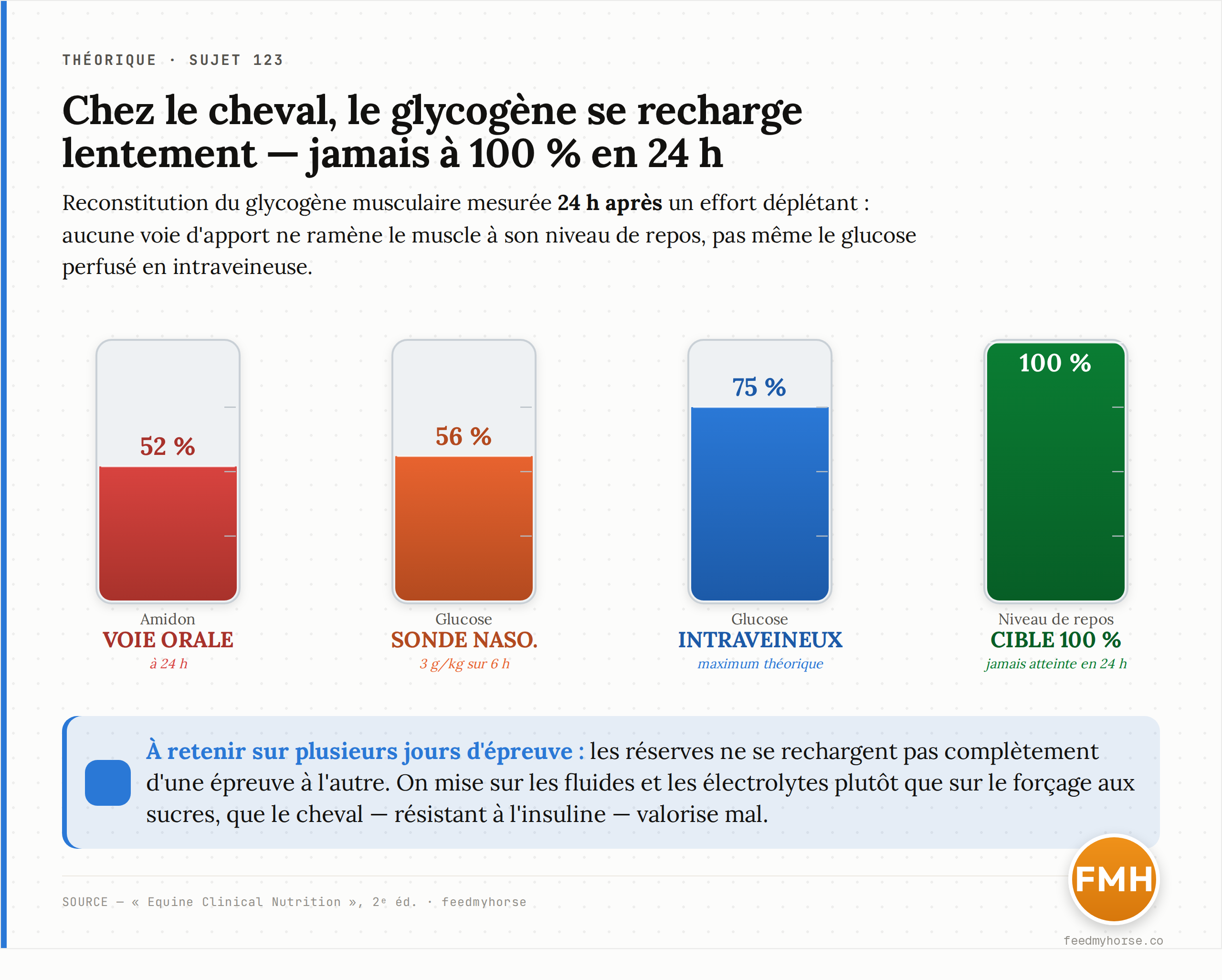 Reconstitution du glycogène musculaire 24 h après un effort déplétant : l'amidon par voie orale ne restaure que 52 % du niveau de repos, le glucose par sonde nasogastrique (3 g/kg sur 6 h) 56 %, et même le glucose perfusé en intraveineuse — le maximum théorique — plafonne à 75 %. Aucune voie ne ramène à 100 %. Source : Equine Clinical Nutrition, 2ᵉ éd. · feedmyhorse