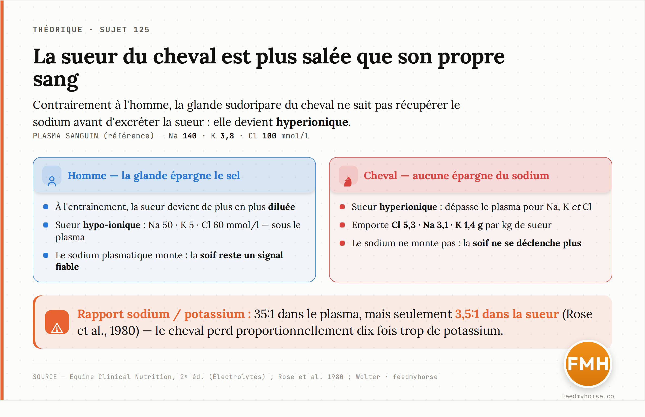 La glande sudoripare du cheval ne récupère pas le sodium : sa sueur devient hyperionique. Le rapport sodium/potassium chute de 35:1 dans le plasma à 3,5:1 dans la sueur (Rose et al., 1980). Source : Equine Clinical Nutrition, 2ᵉ éd. ; Wolter.