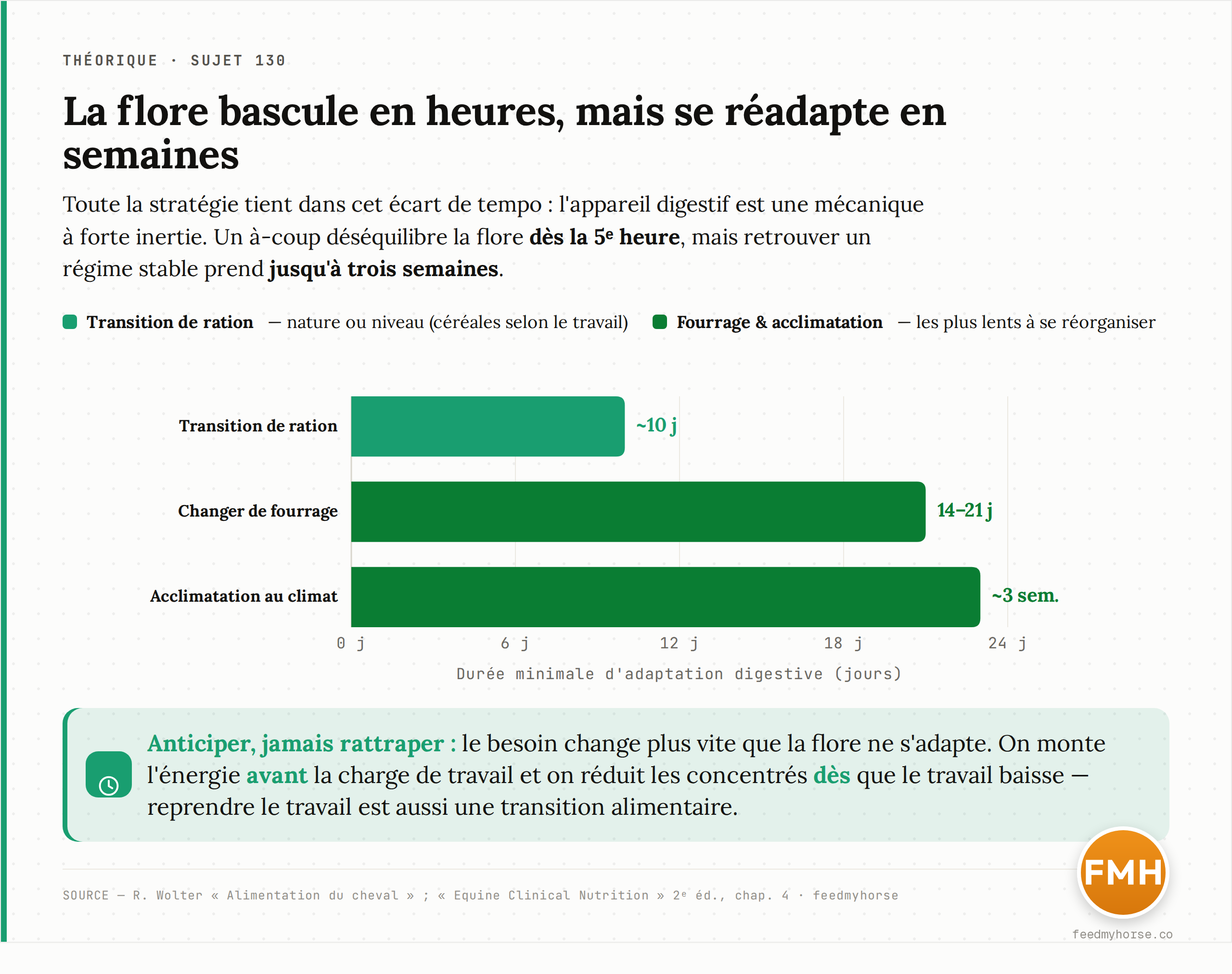 Durée minimale d'adaptation digestive : environ 10 jours pour une transition de ration (nature ou niveau), 14 à 21 jours pour changer de fourrage, près de 3 semaines pour l'acclimatation au climat — alors que la flore bascule dès la 5ᵉ heure d'un à-coup. Source : R. Wolter, Alimentation du cheval ; Equine Clinical Nutrition 2ᵉ éd., chap. 4 · feedmyhorse