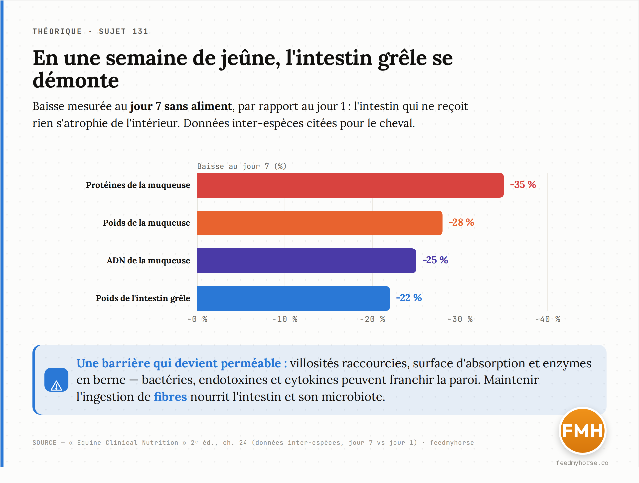 Atrophie de l'intestin grêle au jour 7 de jeûne, par rapport au jour 1 : -35 % de protéines de la muqueuse, -28 % de poids de la muqueuse, -25 % d'ADN muqueux et -22 % de poids de l'intestin grêle. La barrière intestinale devient perméable. Source : Equine Clinical Nutrition, 2e éd., ch. 24 · feedmyhorse.
