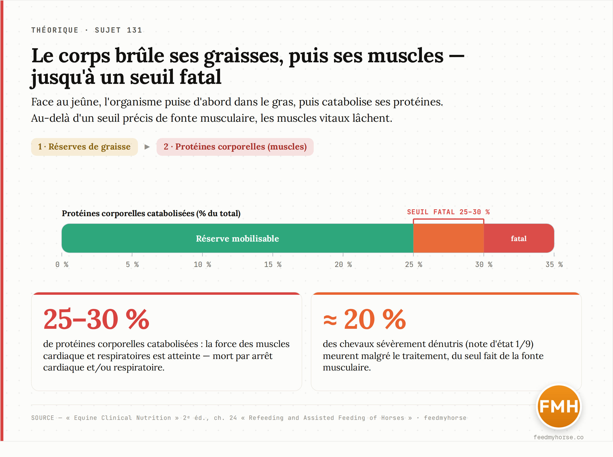Le corps brûle d'abord ses graisses, puis catabolise ses protéines : au-delà de 25 à 30 % des protéines corporelles perdues, les muscles cardiaque et respiratoires sont atteints et la mort survient ; environ 20 % des chevaux en note d'état 1/9 meurent du seul fait de la fonte musculaire. Source : Equine Clinical Nutrition, 2e éd., ch. 24 · feedmyhorse.