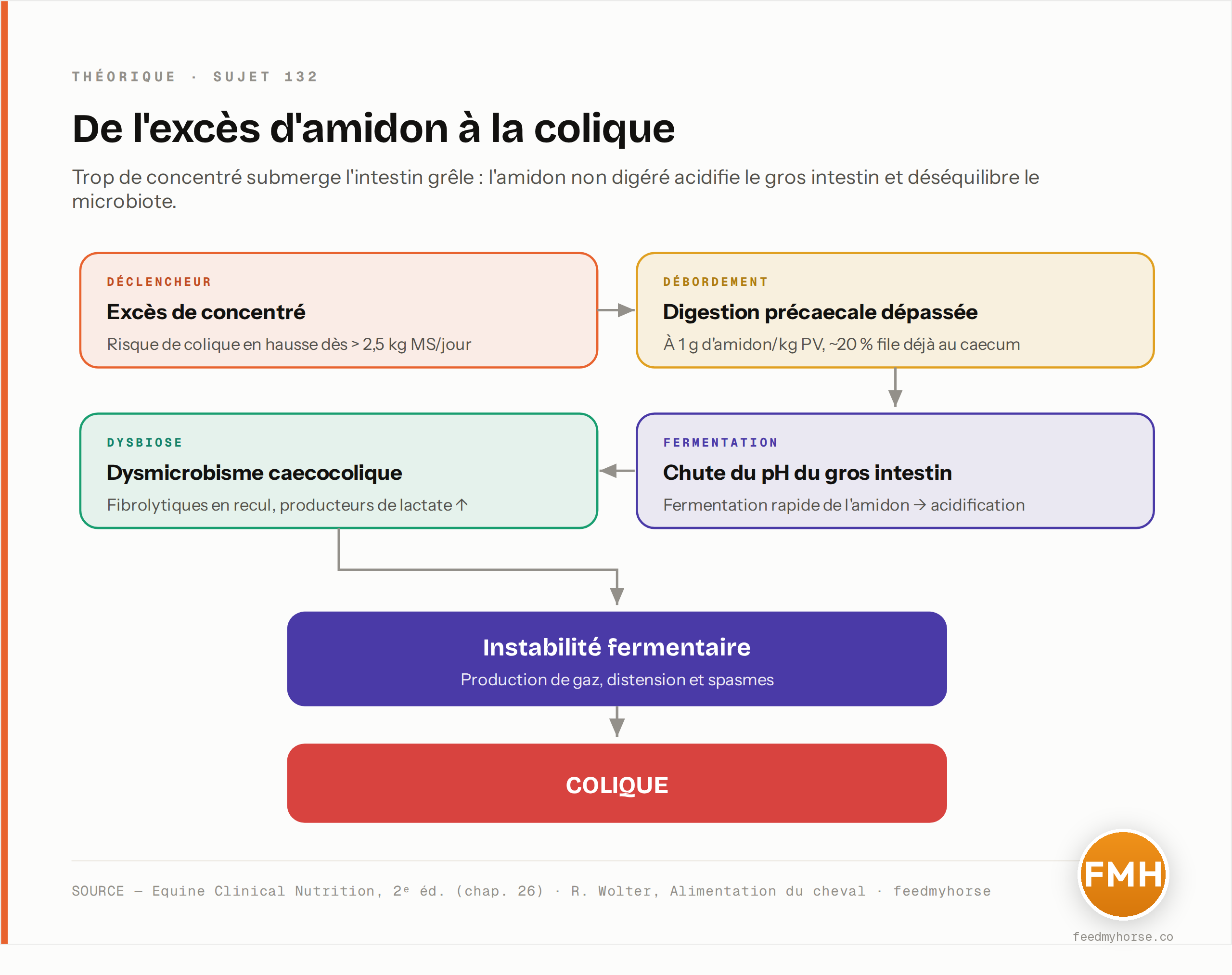La cascade de l'excès d'amidon : au-delà de 2,5 kg de concentré (MS)/jour le risque grimpe ; à 1 g d'amidon/kg de poids vif, ~20 % file déjà au caecum, où la fermentation rapide fait chuter le pH, installe la dysbiose (dysmicrobisme caecocolique) et débouche sur gaz, spasmes et colique. Source : Equine Clinical Nutrition, 2ᵉ éd. (chap. 26) ; R. Wolter, Alimentation du cheval.