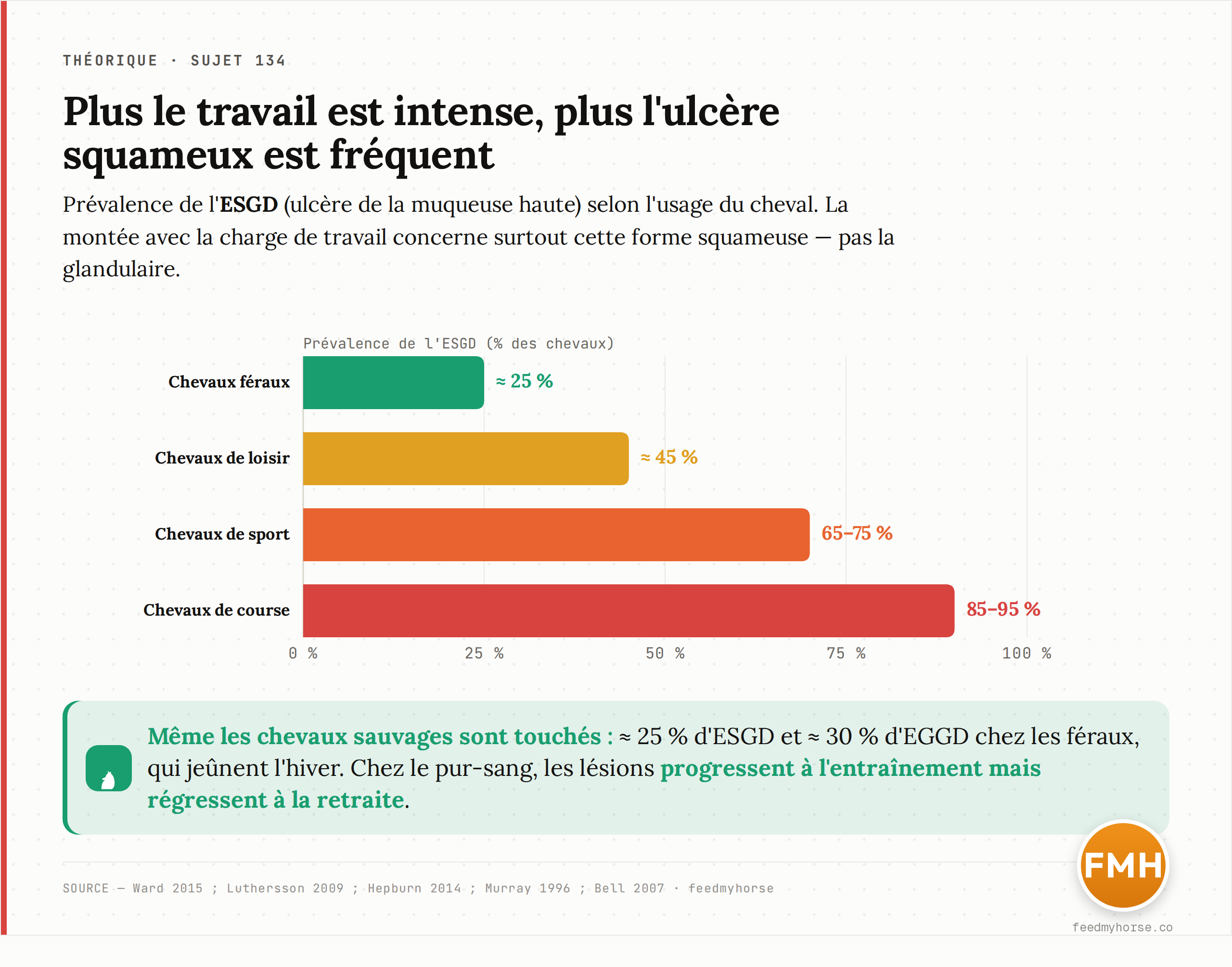 La prévalence de l'ulcère squameux (ESGD) grimpe avec l'intensité du travail : environ 25 % chez les chevaux féraux, 45 % au loisir, 65–75 % en sport, 85–95 % à la course. Chez les féraux, l'EGGD atteint aussi environ 30 %. Source : Ward et al. 2015 ; Luthersson et al. 2009 ; Hepburn 2014 ; Murray et al. 1996 ; Bell et al. 2007 · feedmyhorse