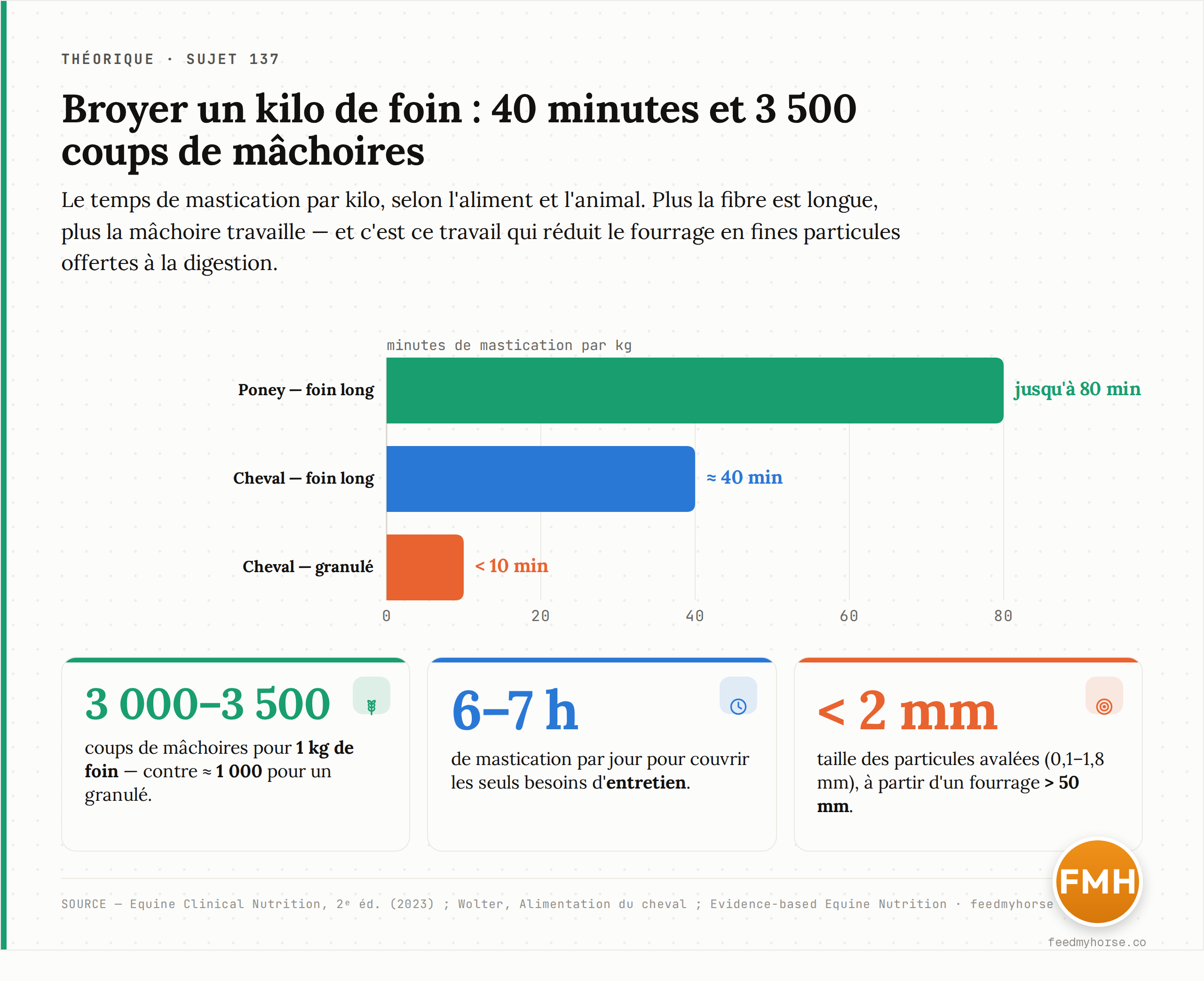 Temps de mastication par kilo selon l'aliment et l'animal : jusqu'à 80 min/kg pour un poney au foin long, environ 40 min/kg pour un cheval au foin long, moins de 10 min/kg pour un granulé. Broyer 1 kg de foin demande 3 000 à 3 500 coups de mâchoires (contre environ 1 000 pour un granulé) et l'entretien réclame 6 à 7 h de mastication par jour ; le fourrage passe de plus de 50 mm à des particules de 0,1 à 1,8 mm, soit moins de 2 mm. Source : Equine Clinical Nutrition 2ᵉ éd. 2023 ; Wolter ; Evidence-based Equine Nutrition · feedmyhorse