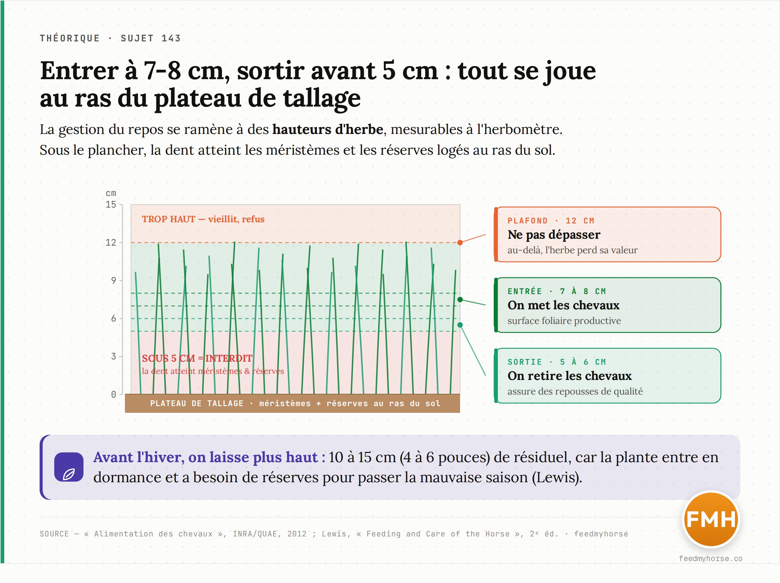 Échelle de hauteur d'herbe : entrée à 7-8 cm (surface productive), plafond à 12 cm (au-delà l'herbe vieillit et le cheval fait des refus), sortie à 5-6 cm résiduels ; sous 5 cm la dent atteint le plateau de tallage où logent méristèmes et réserves. Sources : Alimentation des chevaux, INRA/QUAE, 2012 ; Lewis, Feeding and Care of the Horse, 2e éd.