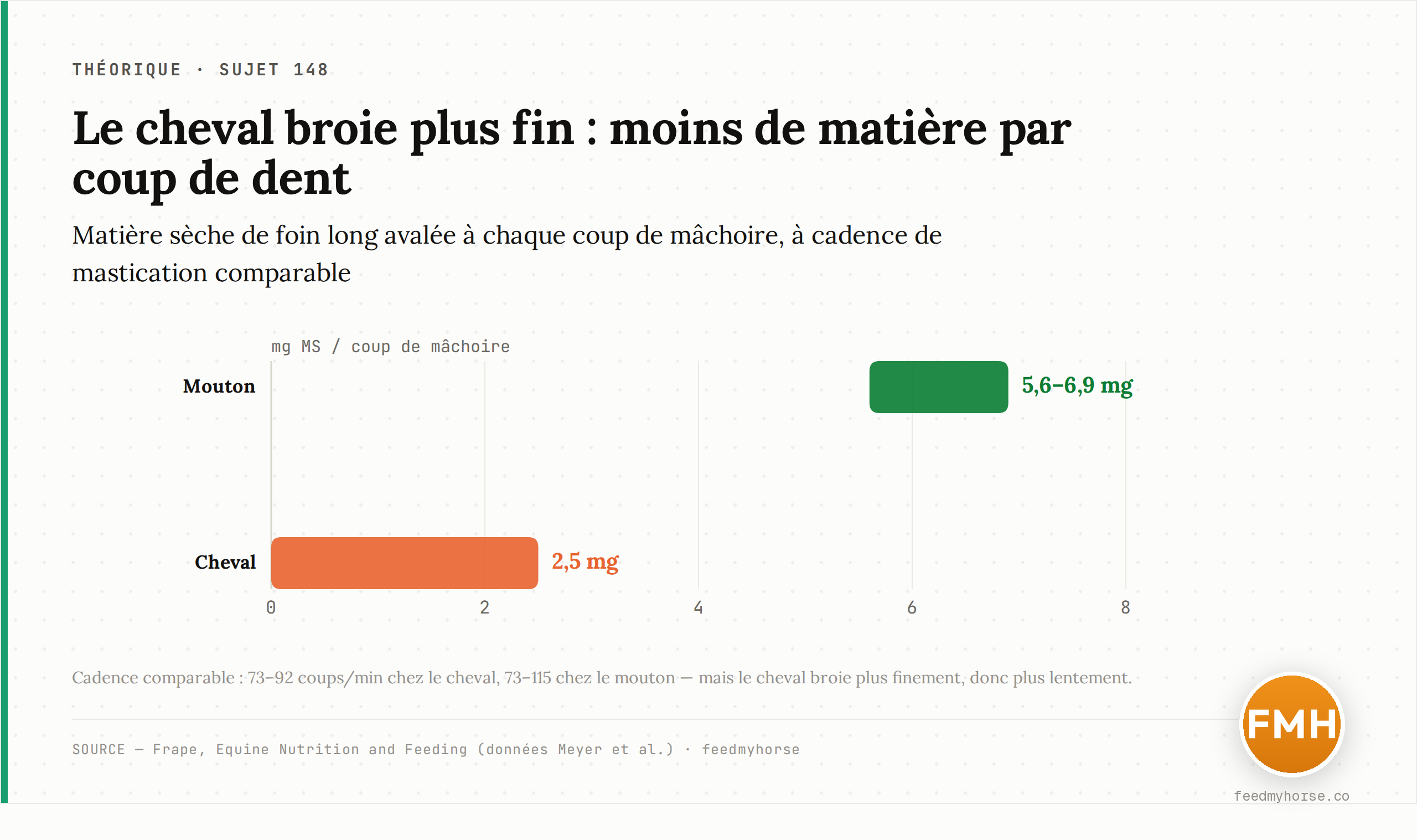 À chaque coup de mâchoire, le mouton ingère 5,6 à 6,9 mg de matière sèche de foin long contre seulement 2,5 mg chez le cheval, à cadence de mastication comparable (73-92 coups/min chez le cheval, 73-115 chez le mouton) : le cheval broie plus finement et plus lentement. Source : Frape, Equine Nutrition and Feeding · feedmyhorse