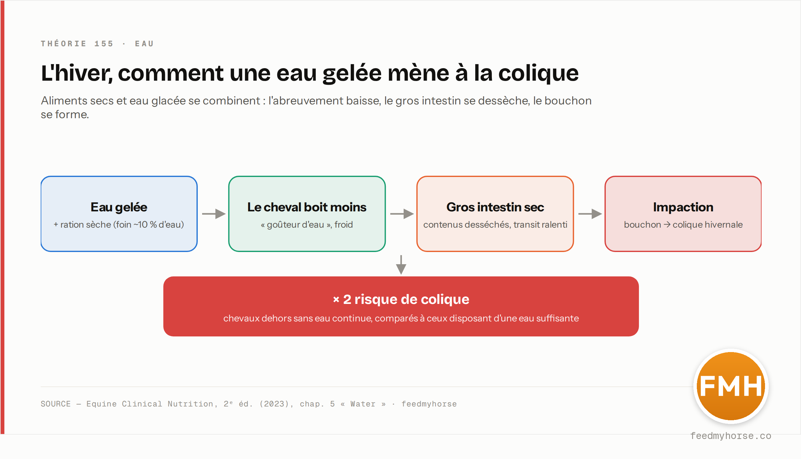 Cascade hivernale : eau gelée et ration sèche → le cheval boit moins → le gros intestin se dessèche → impaction, soit un risque de colique multiplié par 2 chez les chevaux dehors sans eau continue. Source : Equine Clinical Nutrition, 2ᵉ éd. (2023), chap. 5 « Water ».