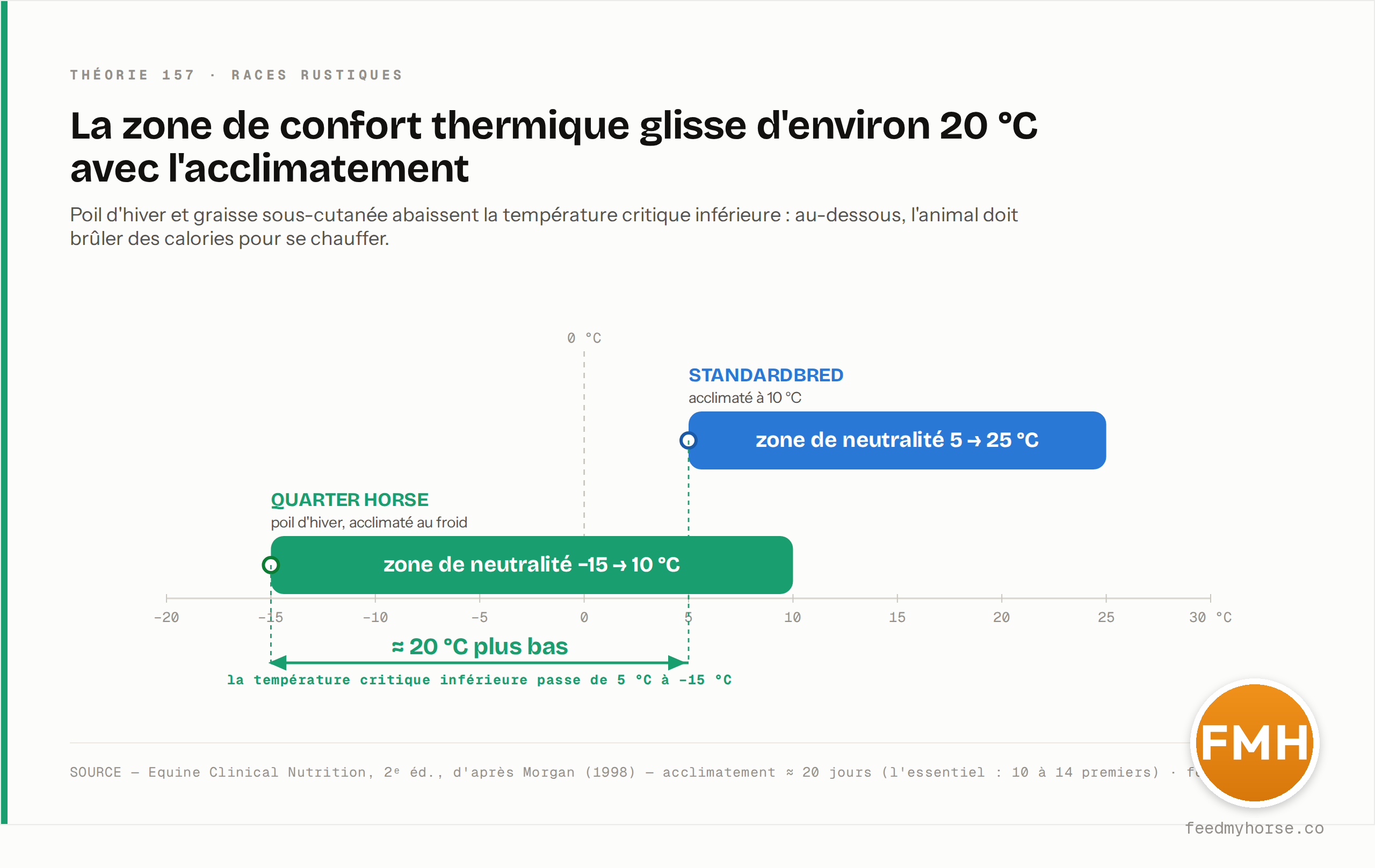 Zone de neutralité thermique de deux chevaux : un Standardbred acclimaté à 10 °C reste à l'aise entre 5 et 25 °C, un Quarter Horse au poil d'hiver entre −15 et 10 °C. Sa température critique inférieure a chuté d'environ 20 °C. Source : Equine Clinical Nutrition, 2e éd., d'après Morgan (1998) · feedmyhorse.