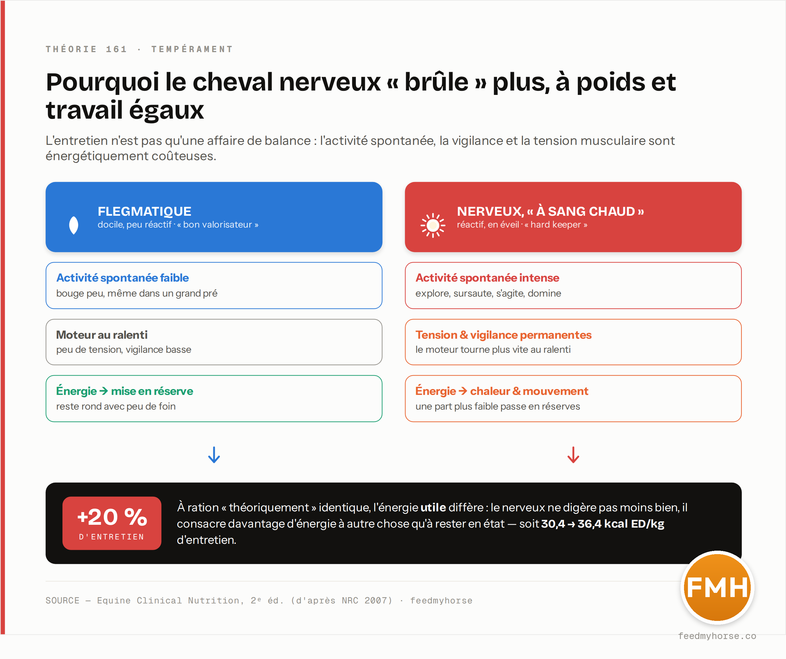 Mécanisme de la dépense : à poids et travail égaux, le cheval nerveux « à sang chaud » a une activité spontanée intense, une tension et une vigilance permanentes, et convertit une part plus grande de sa ration en chaleur et mouvement plutôt qu'en réserves, d'où un besoin d'entretien majoré d'environ 20 % (30,4 → 36,4 kcal ED/kg). Source : Equine Clinical Nutrition, 2e éd., d'après NRC 2007.