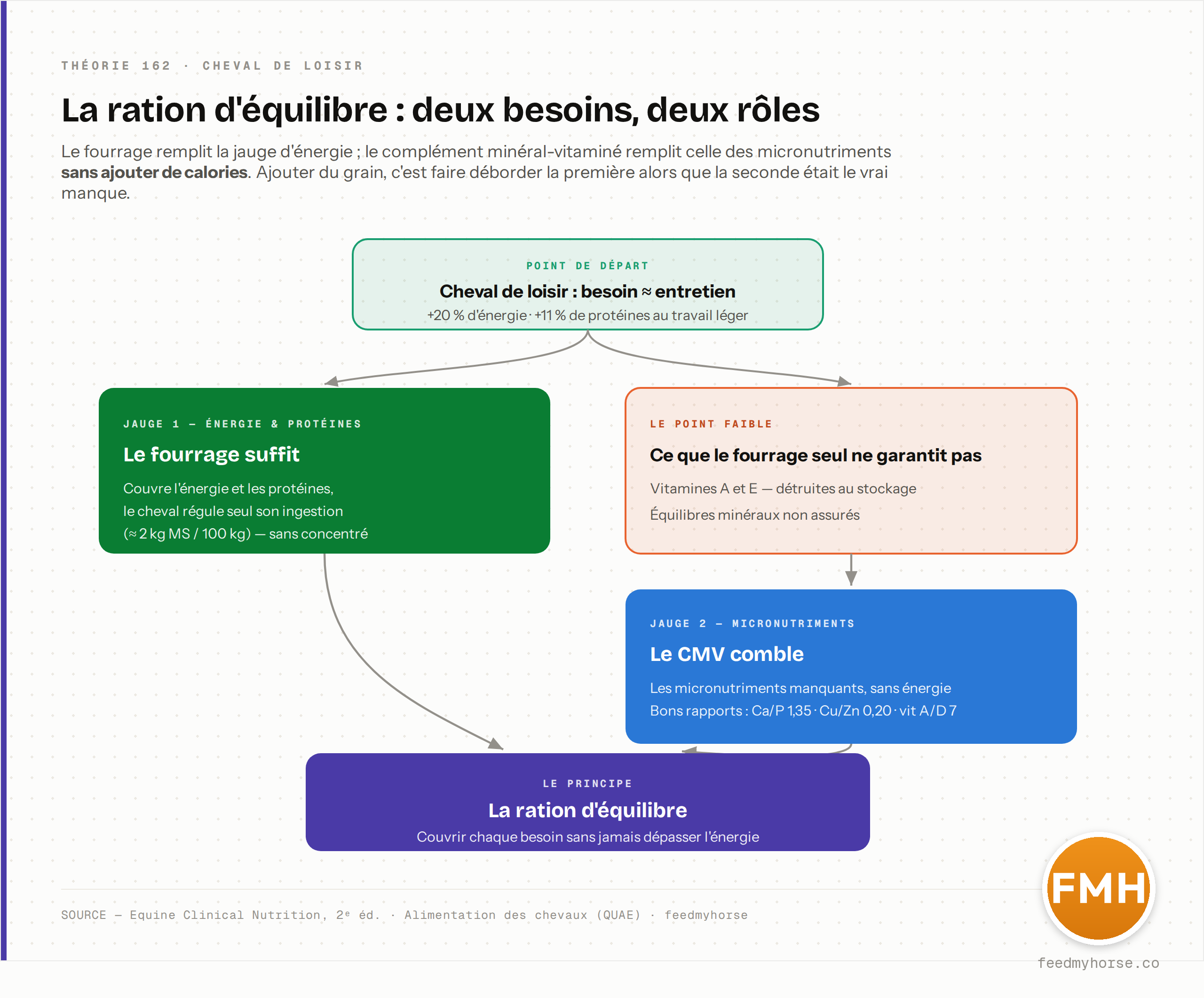 La ration d'équilibre, deux besoins et deux rôles : le fourrage couvre à lui seul l'énergie et les protéines (+20 % et +11 % suffisent au travail léger, ingestion régulée à ≈ 2 kg MS / 100 kg) mais ne garantit ni les vitamines A et E (détruites au stockage) ni les équilibres minéraux ; le complément minéral-vitaminé comble ces micronutriments sans énergie, dans les bons rapports (Ca/P 1,35, Cu/Zn 0,20, vit A/D 7). Source : Equine Clinical Nutrition, 2e éd. · Alimentation des chevaux (QUAE) · feedmyhorse.