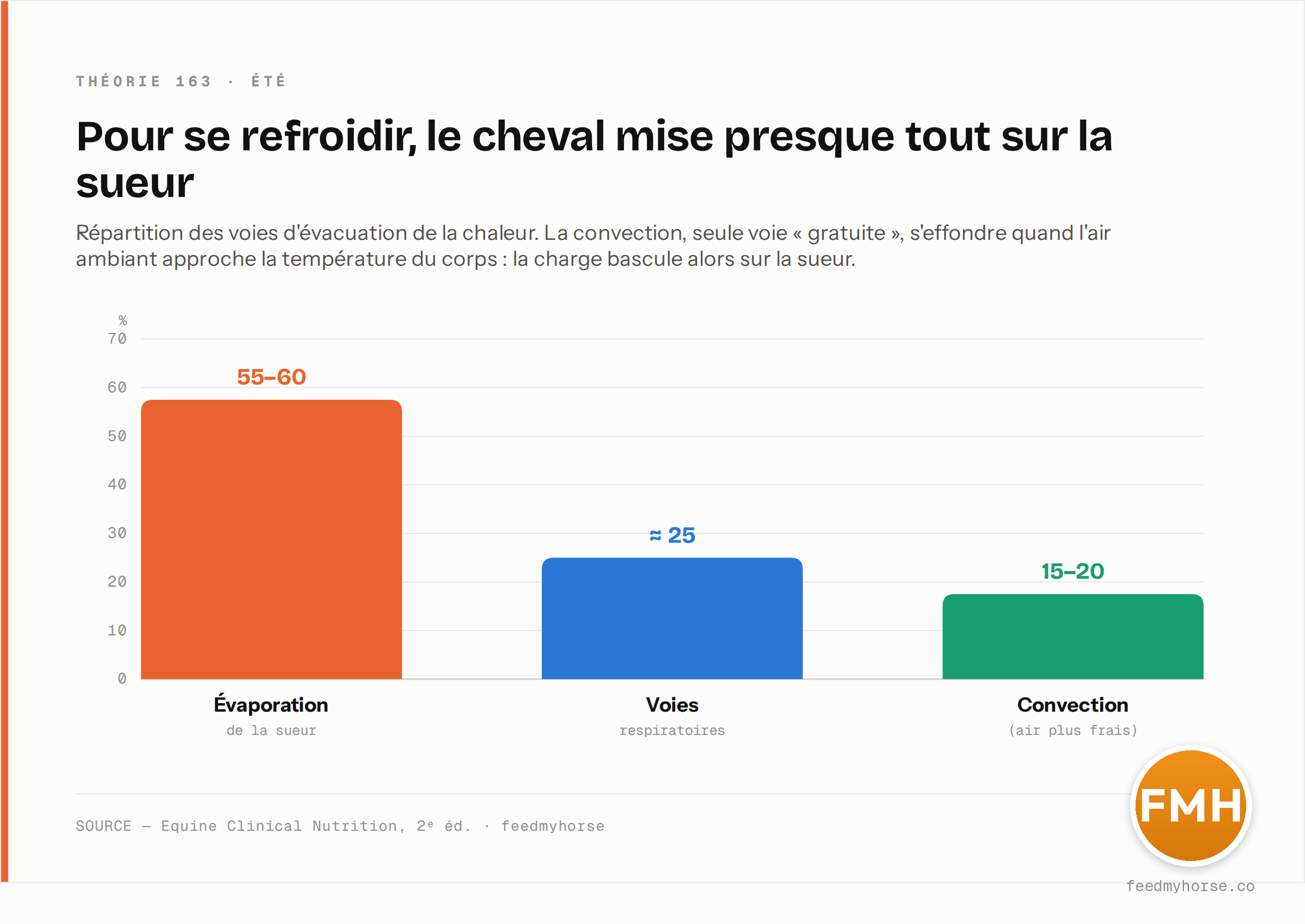 Répartition des voies d'évacuation de la chaleur : l'évaporation de la sueur en assure 55 à 60 %, les voies respiratoires environ 25 %, et la convection (contact d'un air plus frais) 15 à 20 %. Source : Equine Clinical Nutrition, 2ᵉ éd. · feedmyhorse