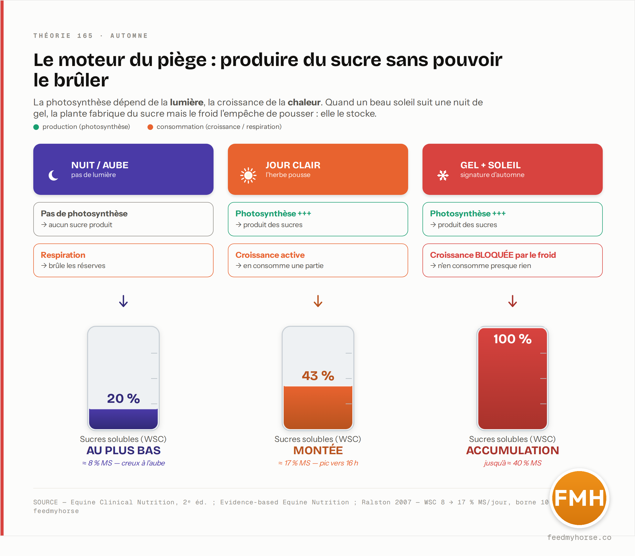 Le moteur du piège selon la météo : de nuit ou à l'aube les sucres solubles (WSC) tombent au plus bas (≈ 8 % de la matière sèche) ; un jour clair où l'herbe pousse ils montent (≈ 17 % MS l'après-midi) ; mais un beau soleil après une nuit de gel bloque la croissance et fait accumuler les sucres jusqu'à ≈ 40 % MS. Source : Equine Clinical Nutrition, 2ᵉ éd. ; Evidence-based Equine Nutrition ; Ralston 2007 · feedmyhorse.