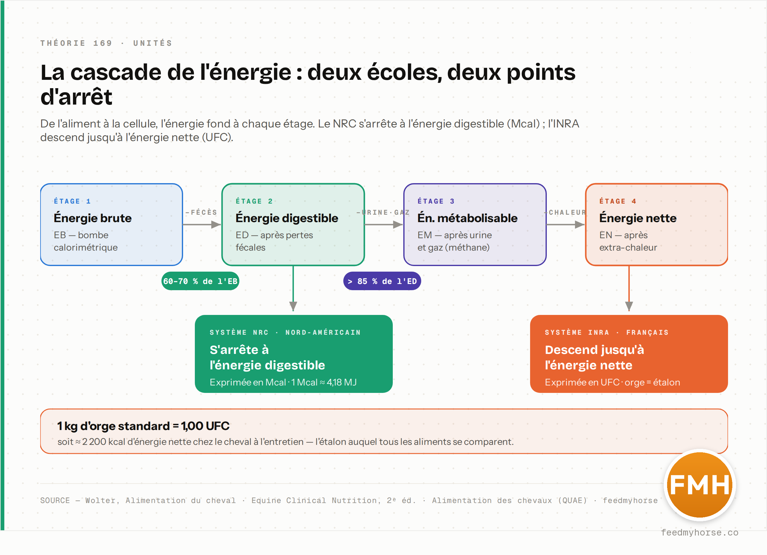 L'énergie d'un aliment fond en cascade : de l'énergie brute à l'énergie digestible (60–70 % de l'EB), puis métabolisable (> 85 % de l'ED), enfin nette. Le NRC s'arrête à l'énergie digestible (Mcal ; 1 Mcal ≈ 4,18 MJ), l'INRA descend à l'énergie nette (UFC ; 1 kg d'orge standard = 1,00 UFC ≈ 2 200 kcal). Source : Wolter, Alimentation du cheval · Equine Clinical Nutrition, 2ᵉ éd. · Alimentation des chevaux, QUAE · feedmyhorse.