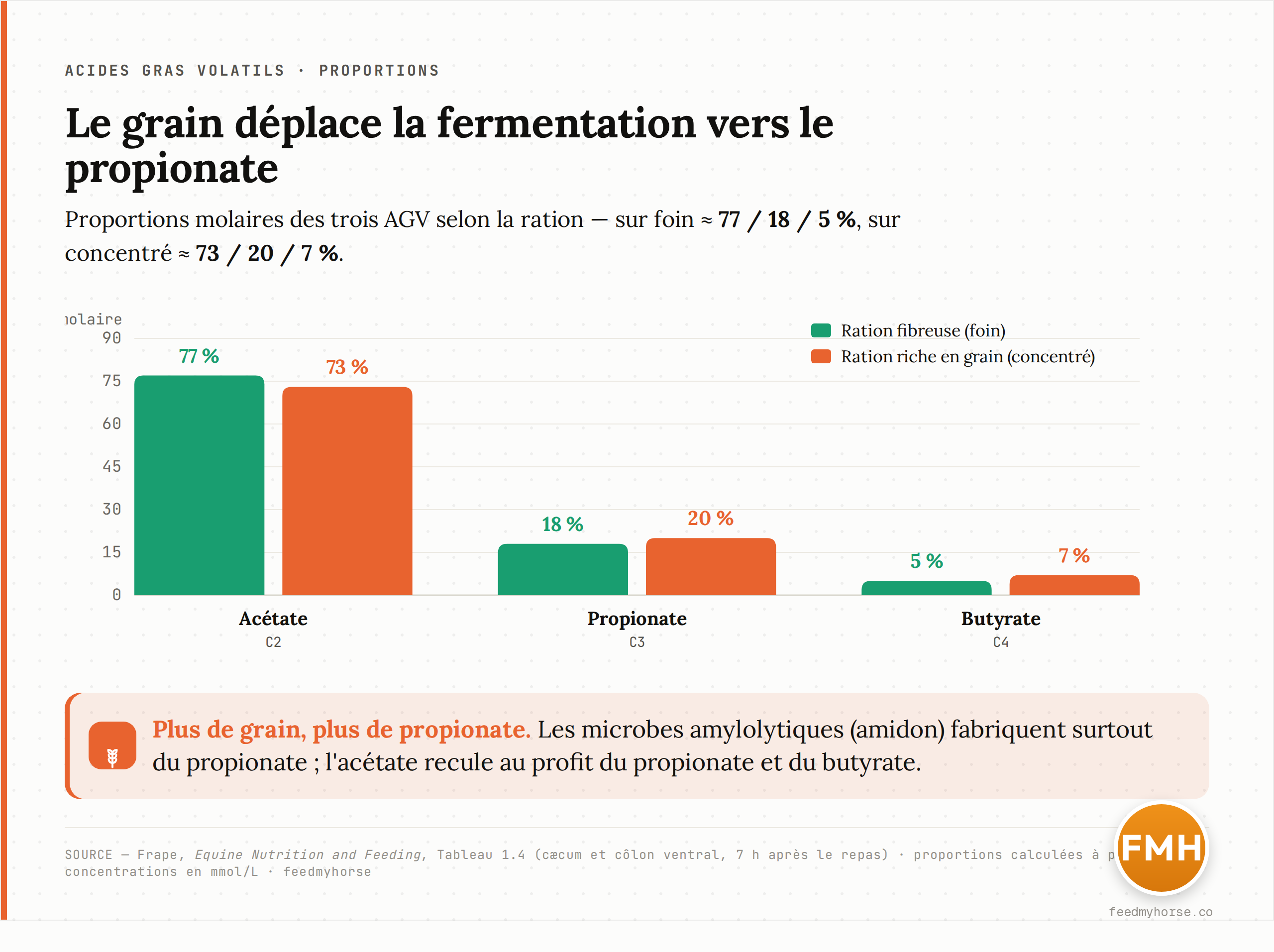 Graphique en barres : proportions molaires de l'acétate (C2), du propionate (C3) et du butyrate (C4) selon la ration. Sur foin, environ 77 / 18 / 5 % ; sur concentré, environ 73 / 20 / 7 %. Le grain déplace le profil vers le propionate. Source : Frape, Equine Nutrition and Feeding, Tableau 1.4 (cæcum et côlon ventral, 7 h après le repas), proportions calculées à partir des concentrations en mmol/L.
