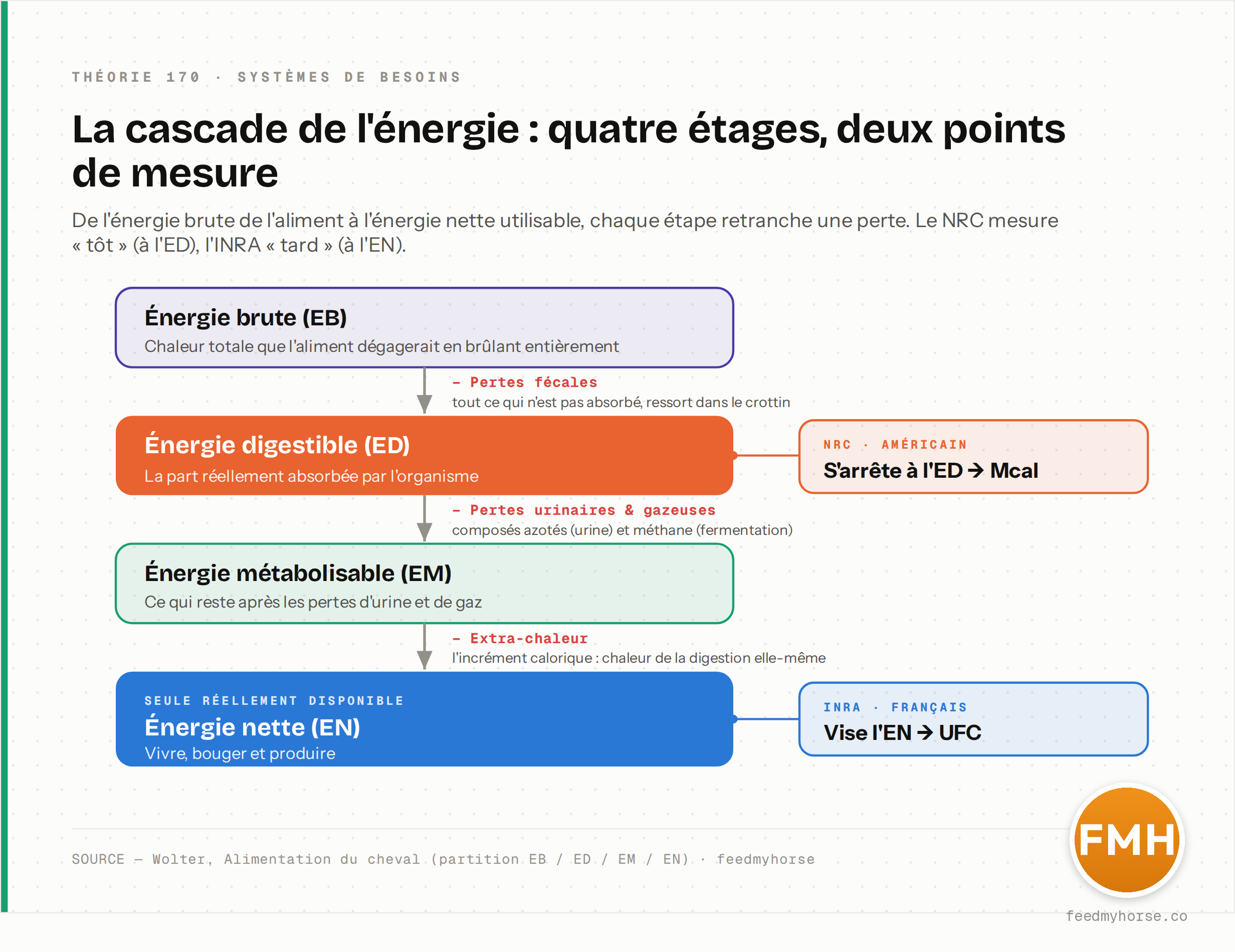 La cascade de l'énergie : énergie brute → digestible (pertes fécales) → métabolisable (pertes urinaires et gazeuses) → nette (extra-chaleur). Le NRC s'arrête à l'énergie digestible (Mcal), l'INRA vise l'énergie nette (UFC). Source : Wolter, Alimentation du cheval.
