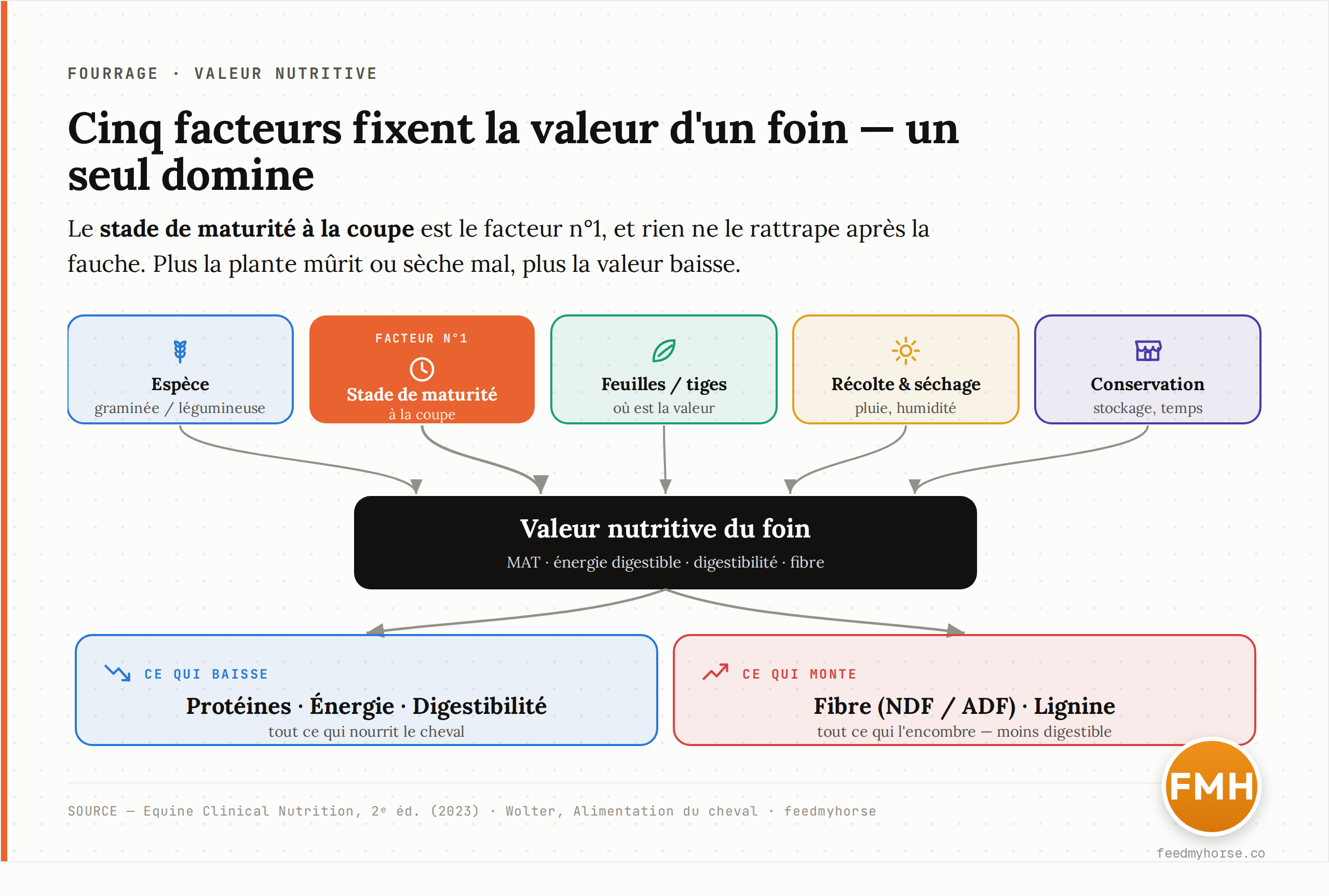 Schéma des facteurs qui déterminent la valeur nutritive d'un foin (espèce, stade de maturité, rapport feuilles/tiges, récolte, conservation) et de leurs effets. Plus la plante est mûre ou le foin mal séché/conservé, plus les protéines, l'énergie et la digestibilité baissent tandis que la fibre et la lignine montent. Synthèse d'après Equine Clinical Nutrition, 2e éd. (2023) et Wolter, Alimentation du cheval.