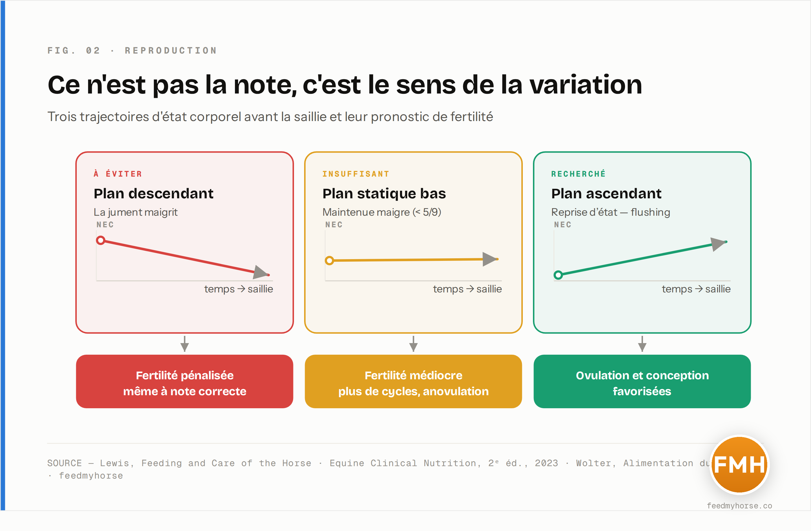 Trois trajectoires d'état corporel avant la saillie et leur pronostic de fertilité : le plan descendant (jument qui maigrit) pénalise la conception même à note correcte ; le plan statique bas maintient une fertilité médiocre ; le plan ascendant — le flushing dynamique — favorise l'ovulation et la conception. Sources : Lewis, Feeding and Care of the Horse ; Equine Clinical Nutrition, 2023 ; Wolter, Alimentation du cheval.
