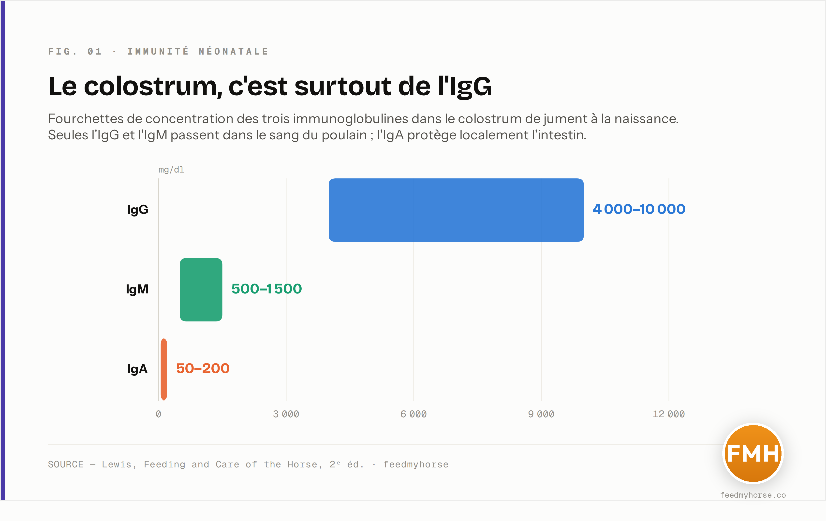 Composition en immunoglobulines du colostrum de jument à la naissance : l'IgG (4 000–10 000 mg/dl) domine largement l'IgM (500–1 500) et l'IgA (50–200). Seules IgG et IgM passent dans le sang du poulain ; l'IgA protège localement l'intestin. Source : Lewis, Feeding and Care of the Horse.