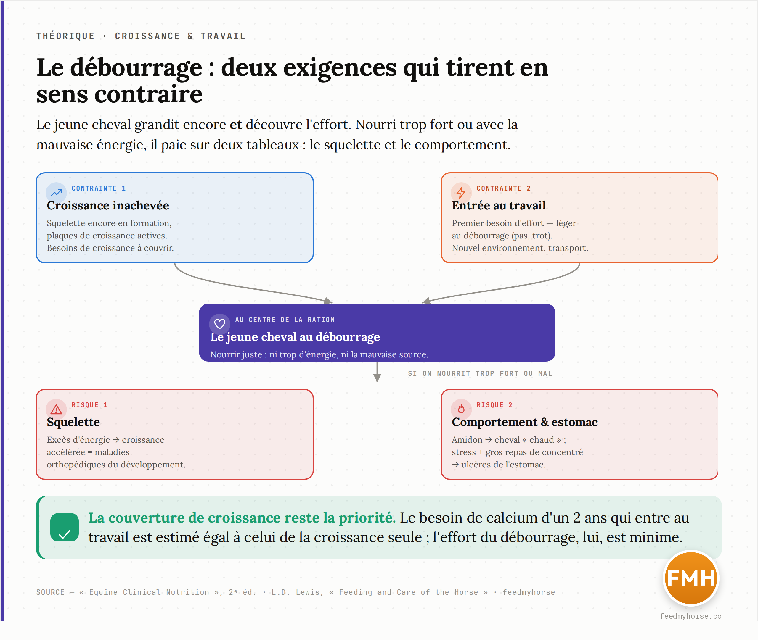 Schéma de la double contrainte du débourrage : croissance inachevée et entrée au travail convergent sur le jeune cheval ; nourri trop fort ou avec la mauvaise source d'énergie, il paie sur le squelette (maladies orthopédiques) et sur le comportement et l'estomac (excitabilité, ulcères). Source : Equine Clinical Nutrition, 2e éd. ; L.D. Lewis, Feeding and Care of the Horse.