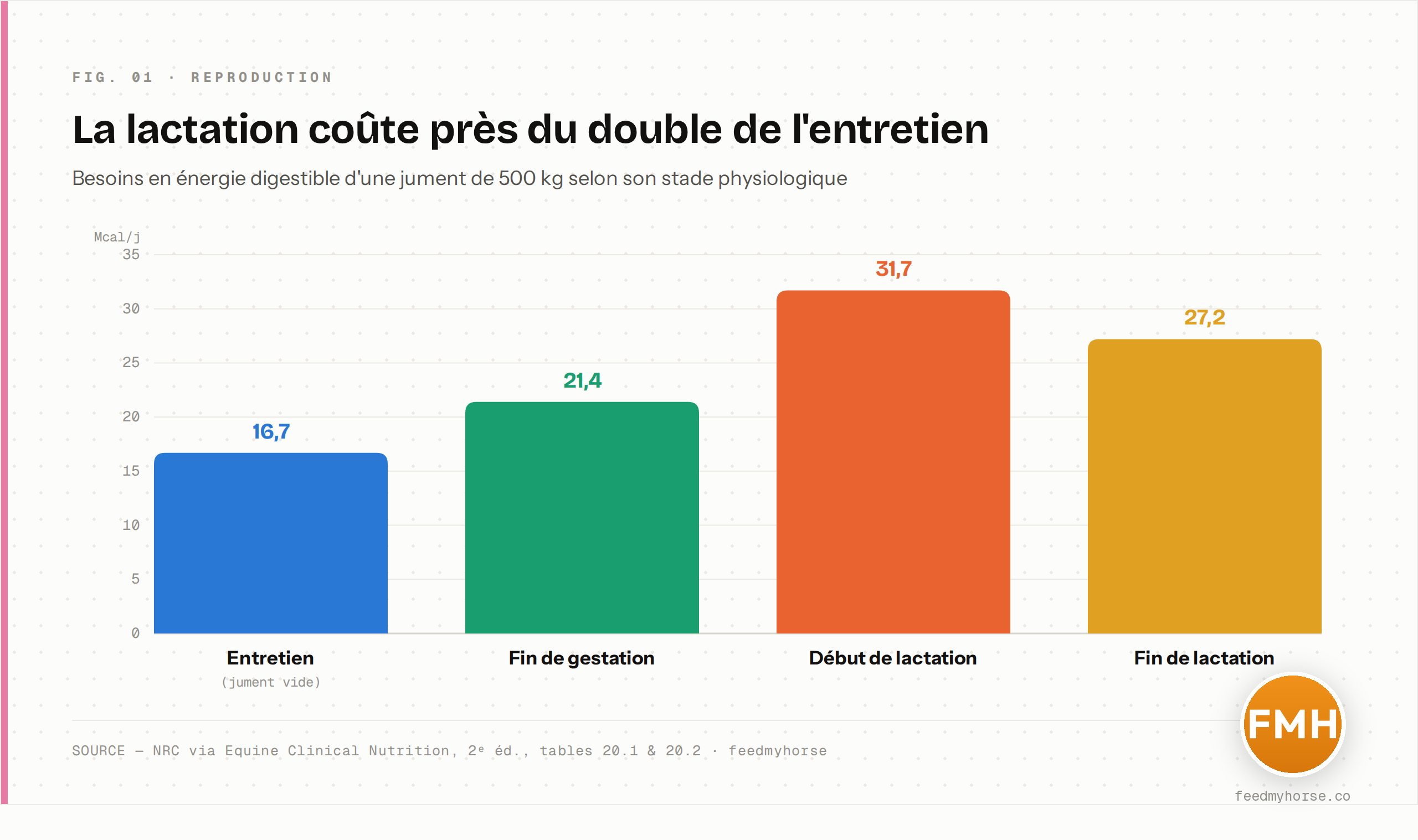 Besoins en énergie digestible d'une jument de 500 kg selon son stade physiologique : 16,7 Mcal/j à l'entretien (jument vide), 21,4 Mcal/j en fin de gestation, 31,7 Mcal/j au début de la lactation, 27,2 Mcal/j en fin de lactation. Le début de la lactation coûte près du double de l'entretien. Source : NRC via Equine Clinical Nutrition, 2ᵉ éd., tables 20.1 et 20.2.