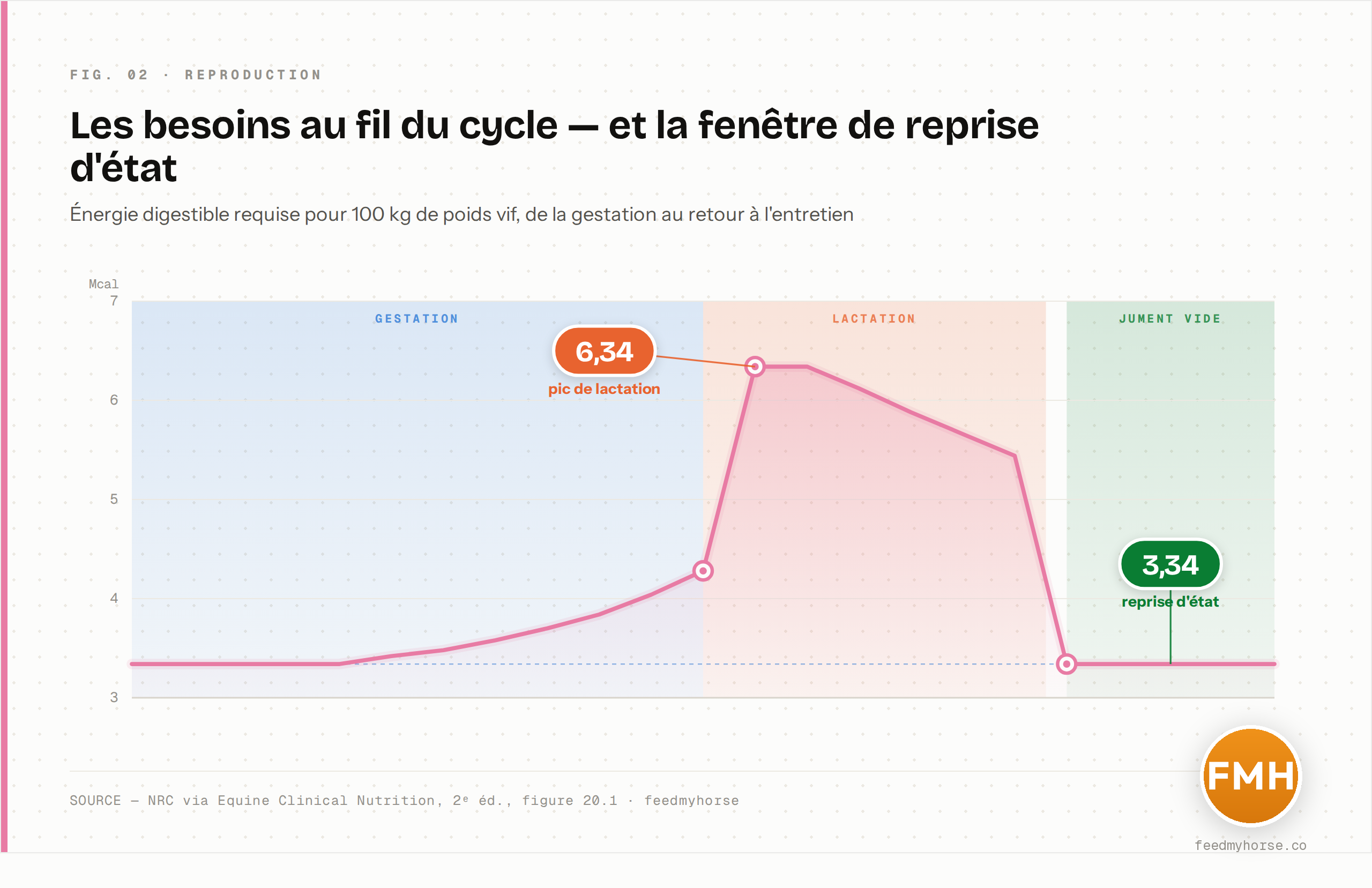Les besoins énergétiques d'une jument au fil de son cycle de reproduction, en Mcal d'énergie digestible pour 100 kg de poids vif : plateau d'entretien en début de gestation (3,34), montée progressive jusqu'au poulinage (4,28), pic au début de la lactation (6,34), puis déclin jusqu'au tarissement. La période « vide » ramène les besoins au plancher de l'entretien : c'est la fenêtre où la jument peut reconstituer ses réserves. Source : NRC via Equine Clinical Nutrition, 2ᵉ éd., figure 20.1.
