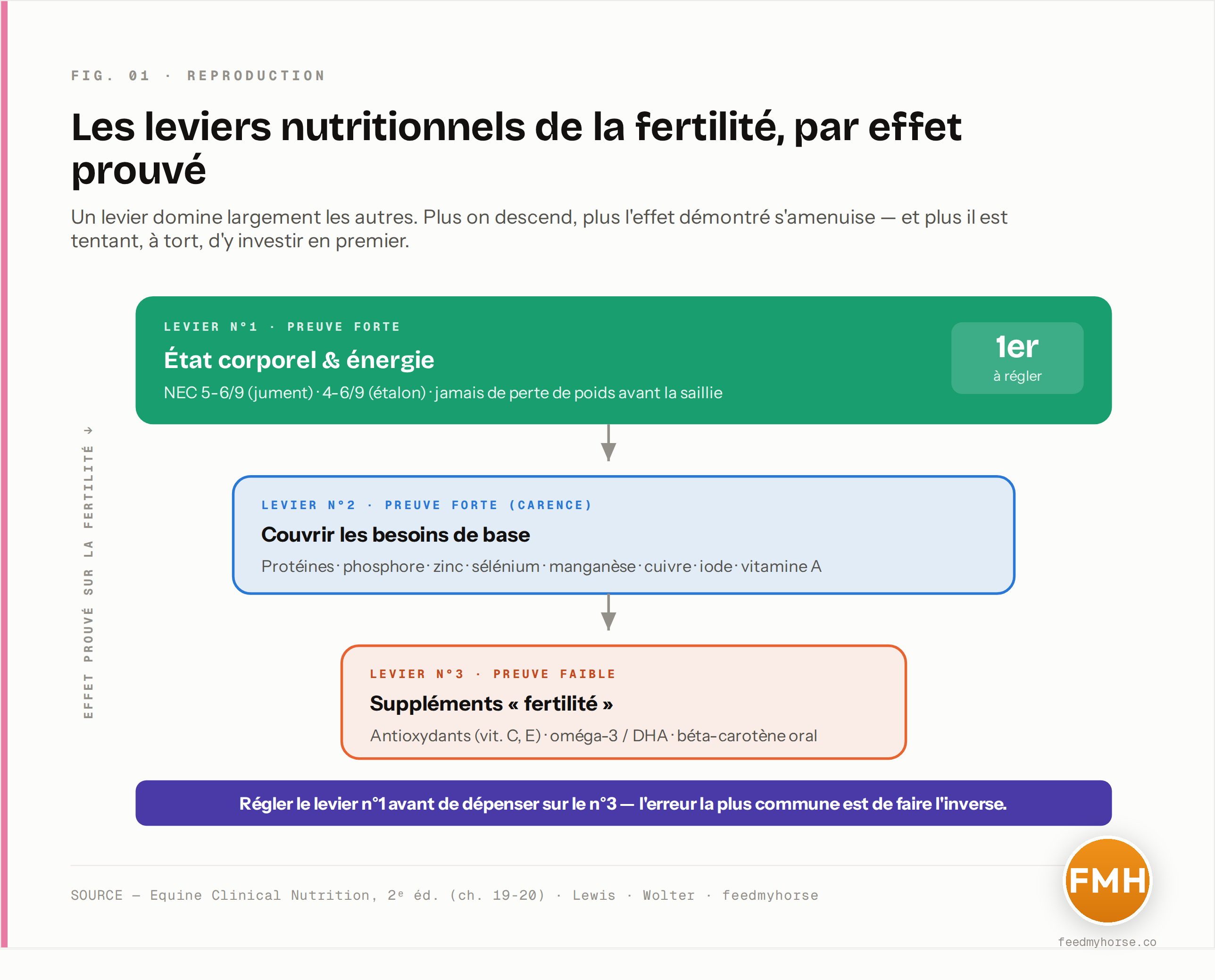 Schéma : la hiérarchie des leviers nutritionnels de la fertilité. L'état corporel et l'énergie constituent le levier majeur à preuve forte ; la couverture des besoins de base (éviter les carences) vient ensuite ; les suppléments au-delà des besoins reposent sur une preuve faible. Source : Equine Clinical Nutrition 2e éd., Lewis, Wolter.