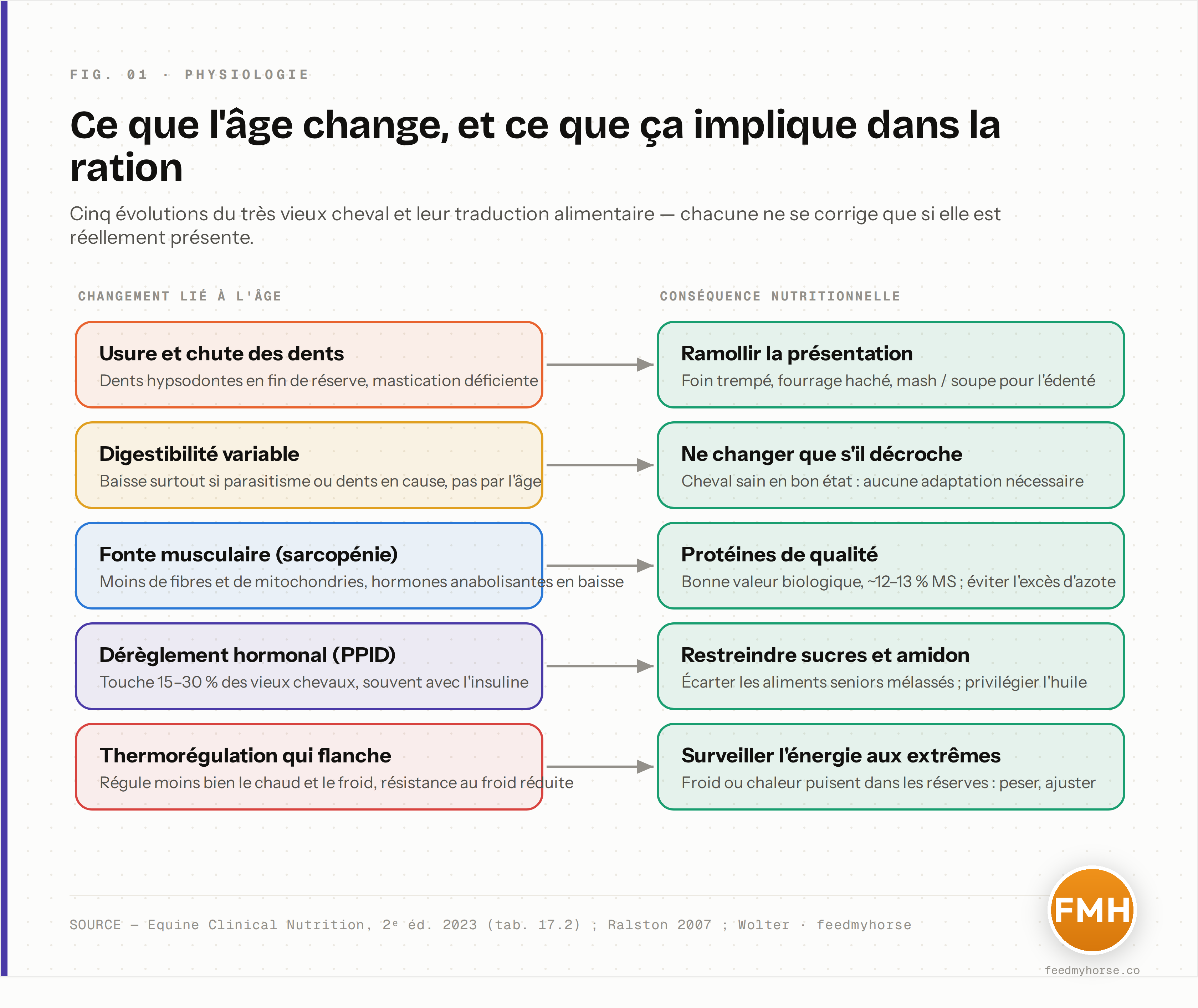 Schéma des principaux changements du très vieux cheval — dents, digestion, muscle, hormones (PPID), thermorégulation — et de leurs conséquences nutritionnelles pratiques. Source : Equine Clinical Nutrition 2023 (tableau 17.2) ; Wolter ; Ralston 2007.