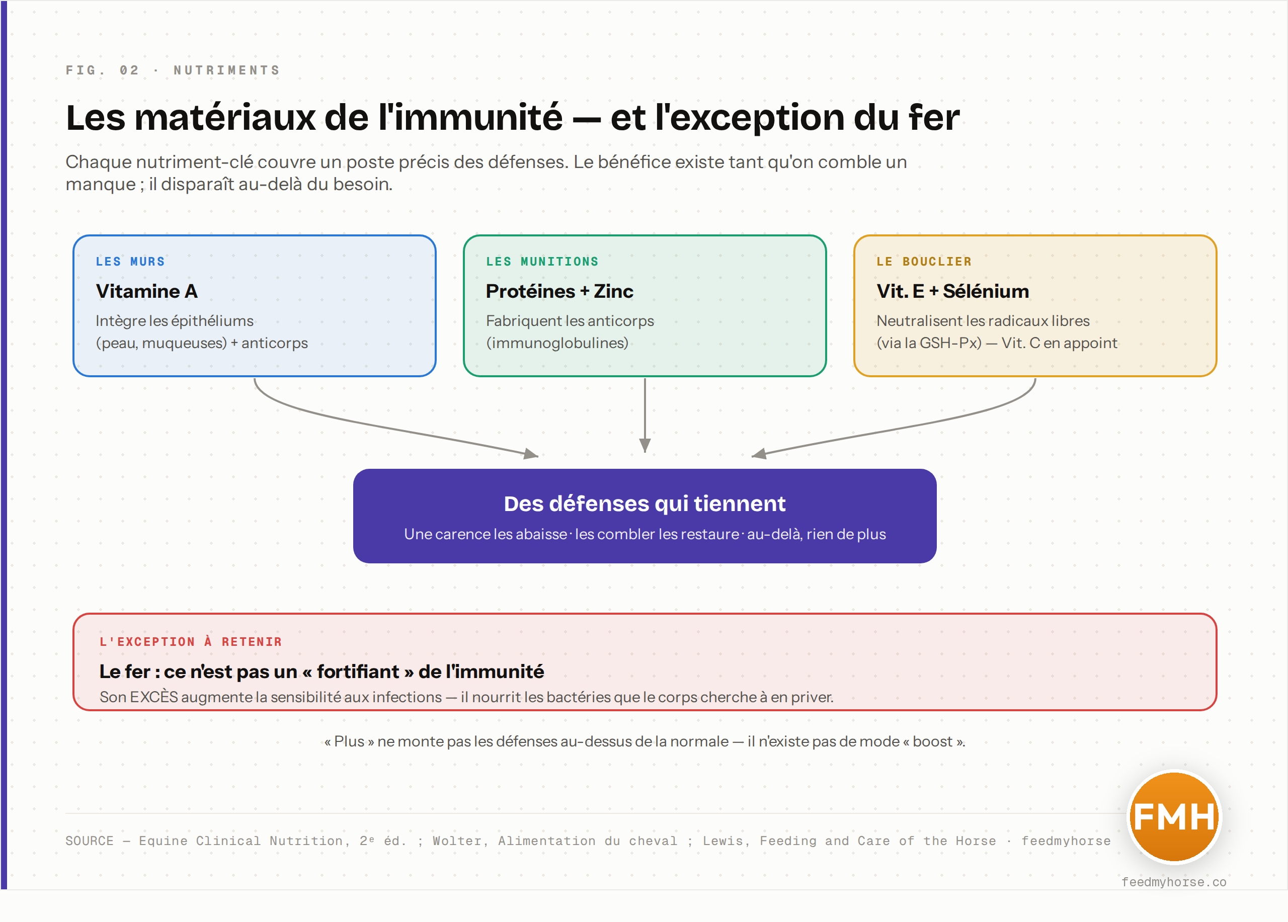 Les nutriments-clés de l'immunité et leur rôle : protéines et zinc (fabrication des anticorps), vitamine A (intégrité des barrières épithéliales et anticorps), vitamine E et sélénium (bouclier antioxydant, via la GSH-Px), vitamine C (régénère la vitamine E). Le fer fait exception : son excès nuit à l'immunité. Chaque flèche indique le sens du bénéfice — présent tant qu'on comble un manque, absent au-delà du besoin. Source : Equine Clinical Nutrition 2e éd. ; Wolter ; Lewis.