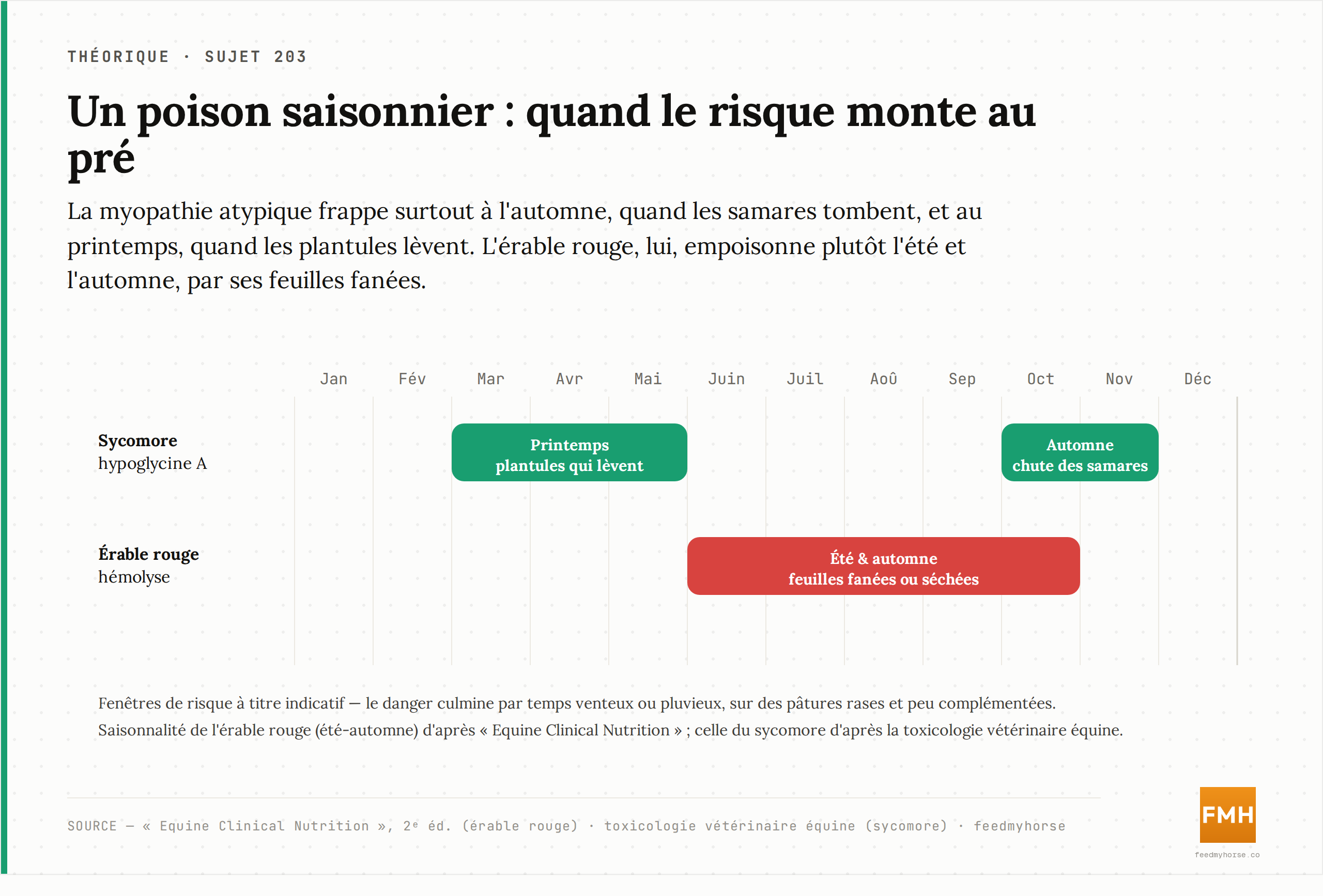 Calendrier indicatif du risque au pâturage : le sycomore (hypoglycine A) menace surtout au printemps, quand les plantules lèvent, et à l'automne, à la chute des samares ; l'érable rouge (hémolyse) empoisonne plutôt l'été et l'automne, par ses feuilles fanées. Fenêtres qualitatives. Source : « Equine Clinical Nutrition » (érable rouge) et toxicologie vétérinaire équine (sycomore).
