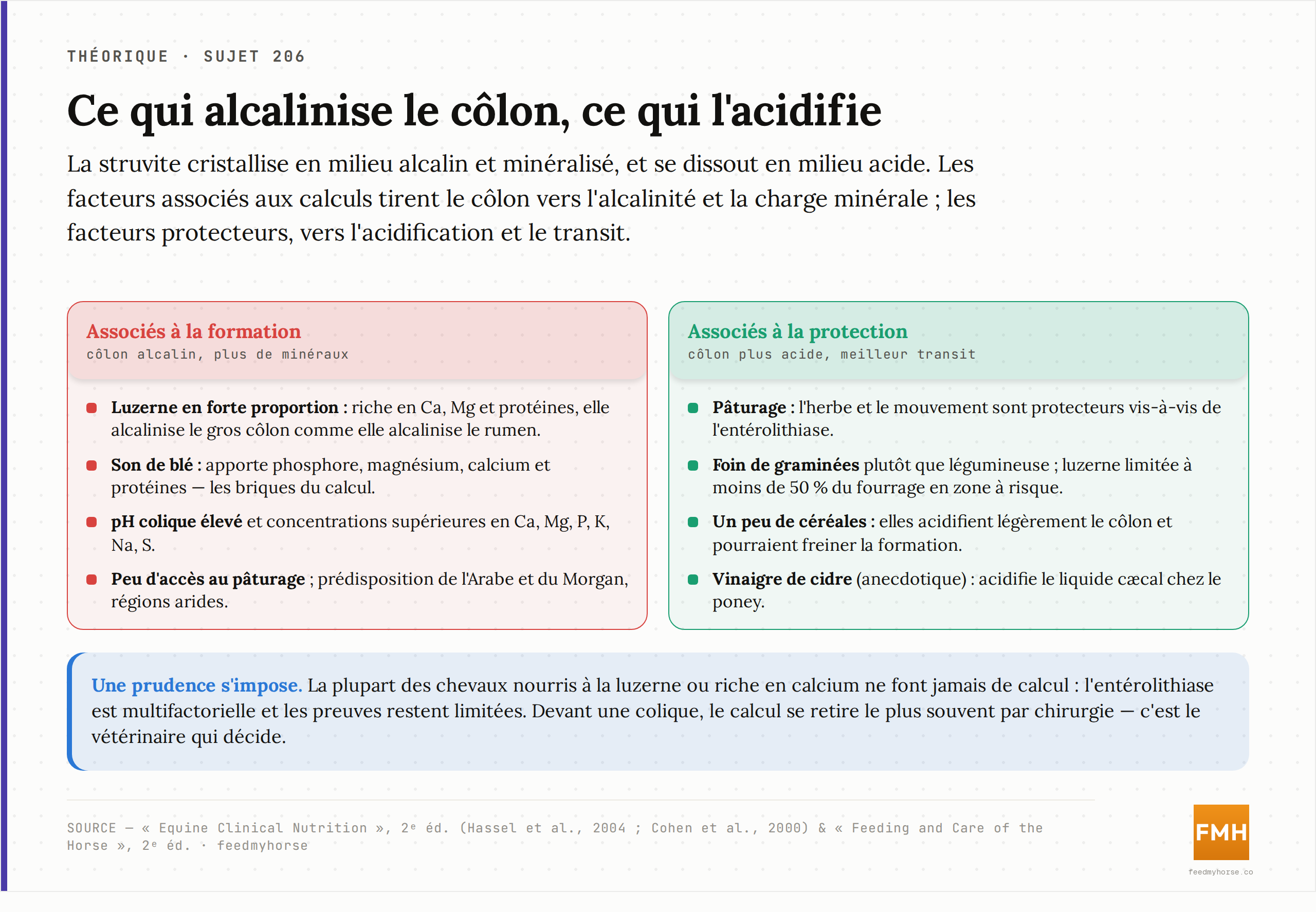 Facteurs associés à la formation des entérolithes (côlon alcalin, charge minérale : luzerne,
son de blé, pH colique élevé, peu de pâturage) face aux facteurs protecteurs (côlon plus
acide, meilleur transit : pâturage, foin de graminées, un peu de céréales, vinaigre de cidre).
Source : Equine Clinical Nutrition, 2ᵉ éd. (Hassel et al., 2004 ; Cohen et al., 2000) et
Feeding and Care of the Horse, 2ᵉ éd.