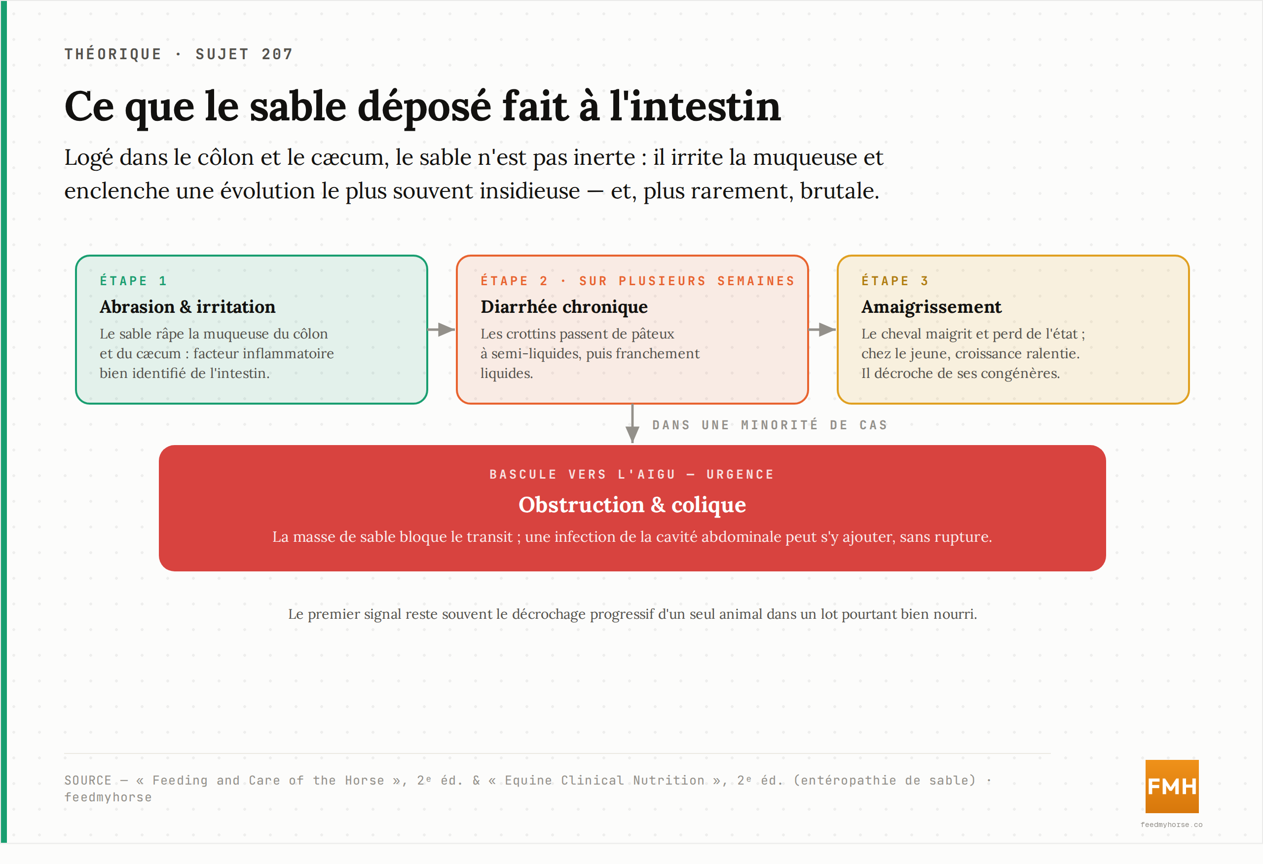 Cascade des conséquences du dépôt de sable : abrasion et irritation de la muqueuse, diarrhée chronique évoluant de pâteuse à liquide, amaigrissement et perte d'état, puis — plus rarement — obstruction et colique aiguë. Source : Feeding and Care of the Horse, 2ᵉ éd. ; Equine Clinical Nutrition, 2ᵉ éd.