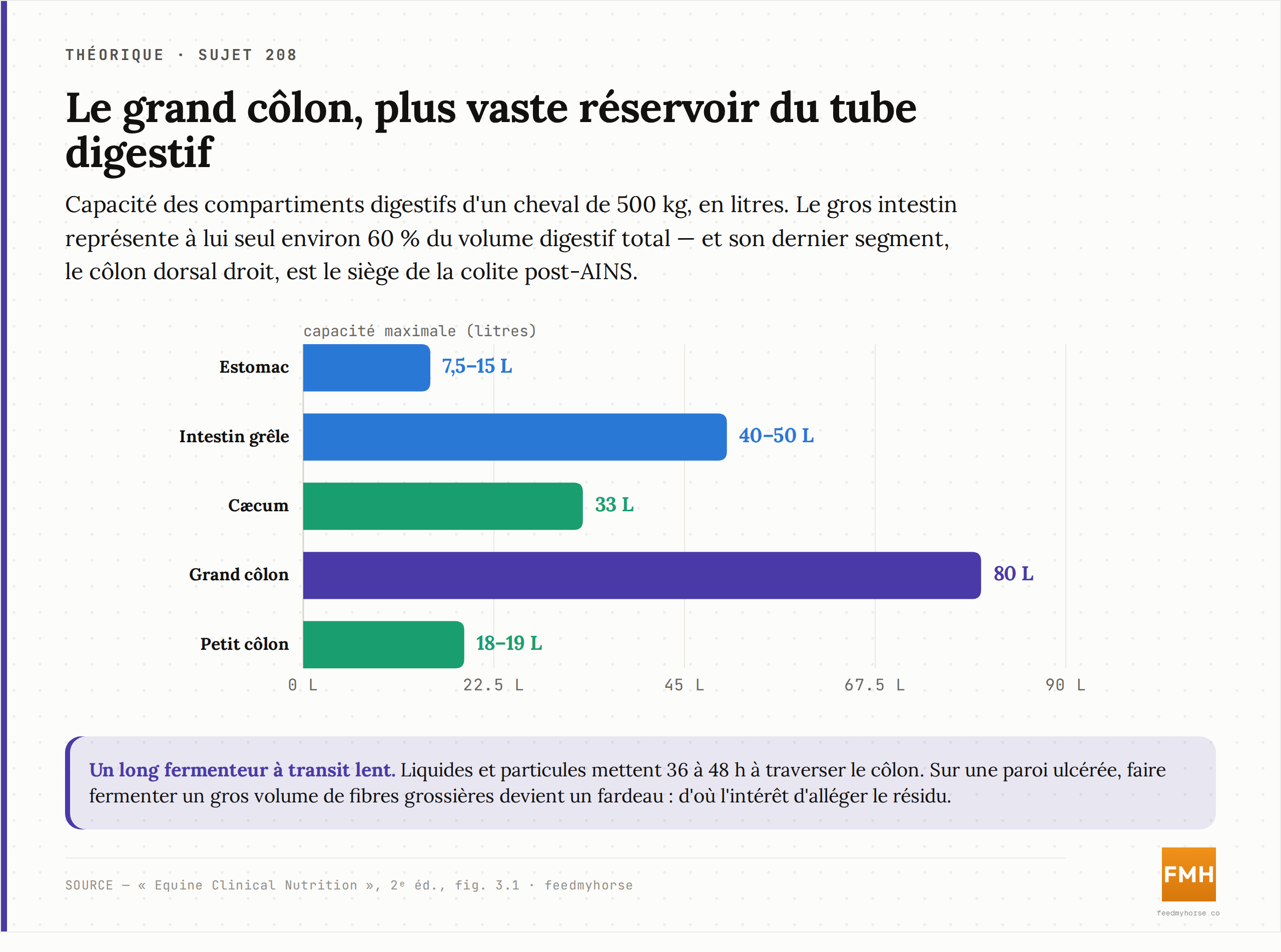 Volumes des compartiments du tube digestif du cheval de 500 kg : l'estomac tient 7,5 à 15 L, l'intestin grêle 40 à 50 L, le cæcum 33 L, le grand côlon jusqu'à 80 L et le petit côlon 18 à 19 L. Le gros intestin représente environ 60 % du volume digestif total. Source : Equine Clinical Nutrition, 2ᵉ éd. (fig. 3.1).