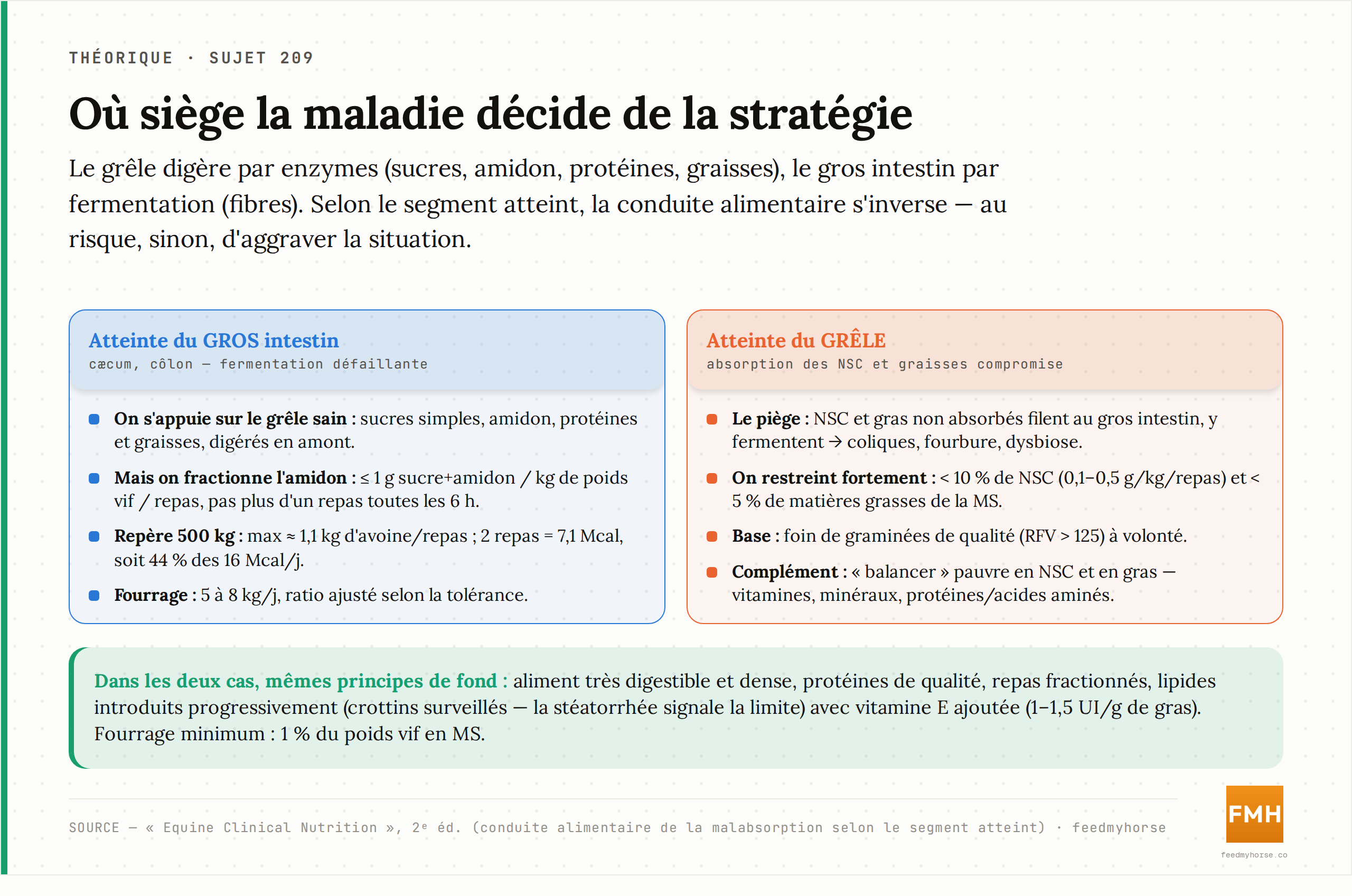 Où siège la maladie décide de la stratégie : grêle contre gros intestin. Repères chiffrés de l'aliment de soutien. Source : Equine Clinical Nutrition, 2ᵉ éd.