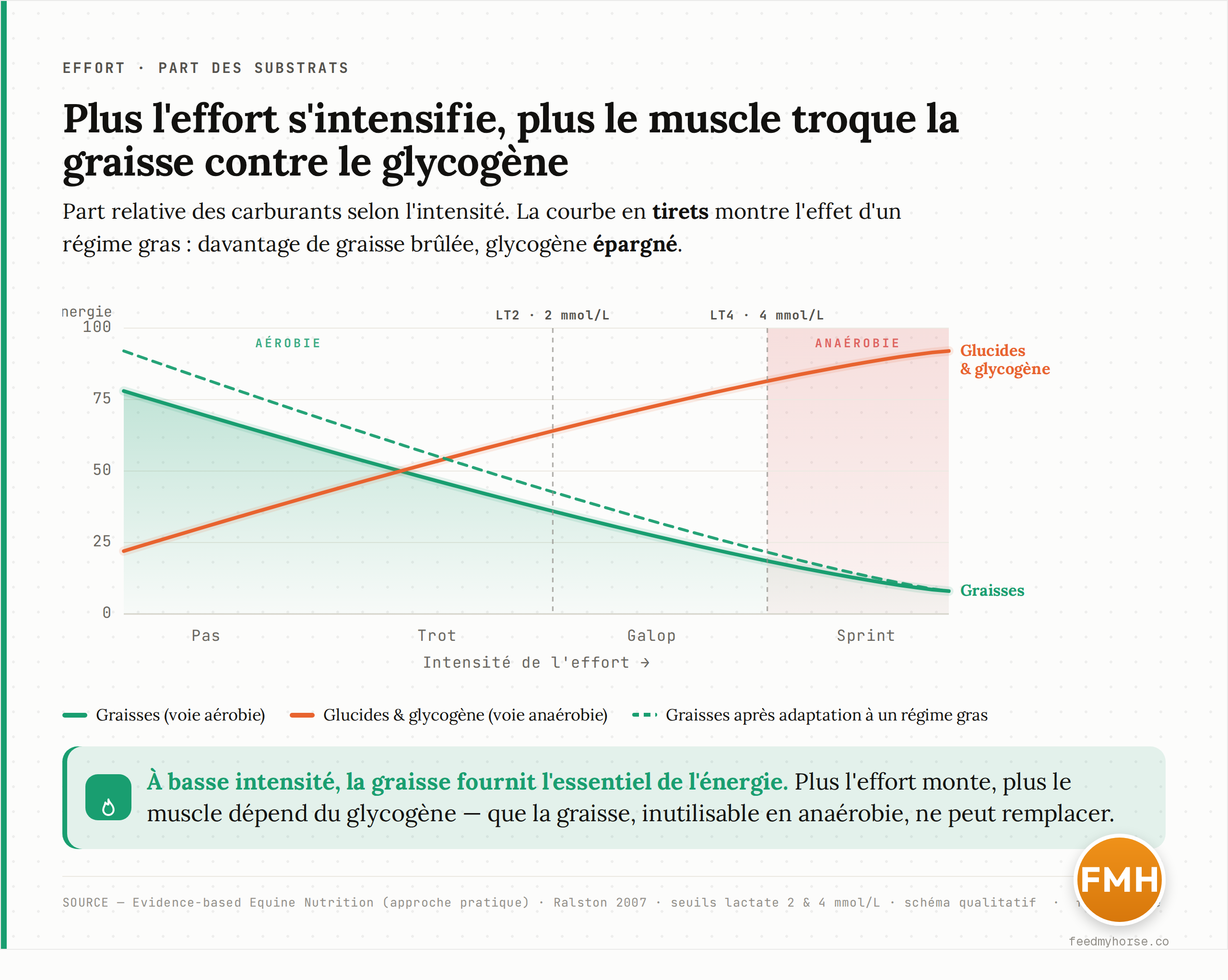 Schéma qualitatif : la part relative des carburants selon l'intensité. À basse intensité, l'oxydation aérobie des graisses domine ; quand l'intensité monte, le muscle bascule vers les glucides et le glycogène (voie anaérobie, production de lactate). La courbe en tirets illustre l'effet de l'adaptation à un régime gras, qui rehausse la part des graisses et épargne le glycogène. Seuils lactate LT2 (~2 mmol/L) et LT4 (~4 mmol/L). D'après Evidence-based Equine Nutrition (approche pratique) et Ralston (2007).