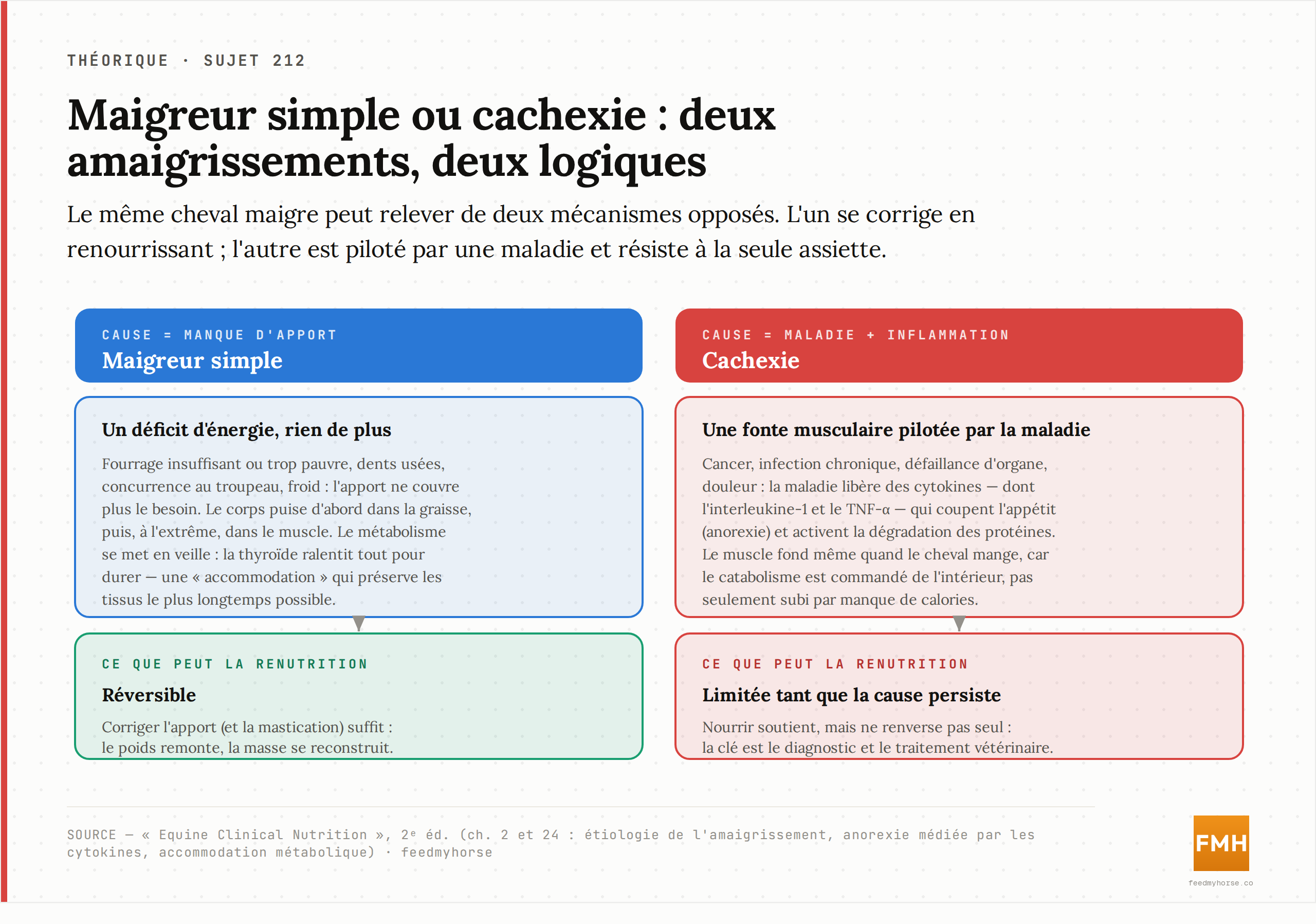 Deux mécanismes d'amaigrissement comparés : la maigreur simple (déficit d'apport, réversible en renourrissant) face à la cachexie (fonte musculaire pilotée par l'inflammation, qui résiste à la seule assiette). Source : Equine Clinical Nutrition, 2ᵉ éd., ch. 2 et 24.