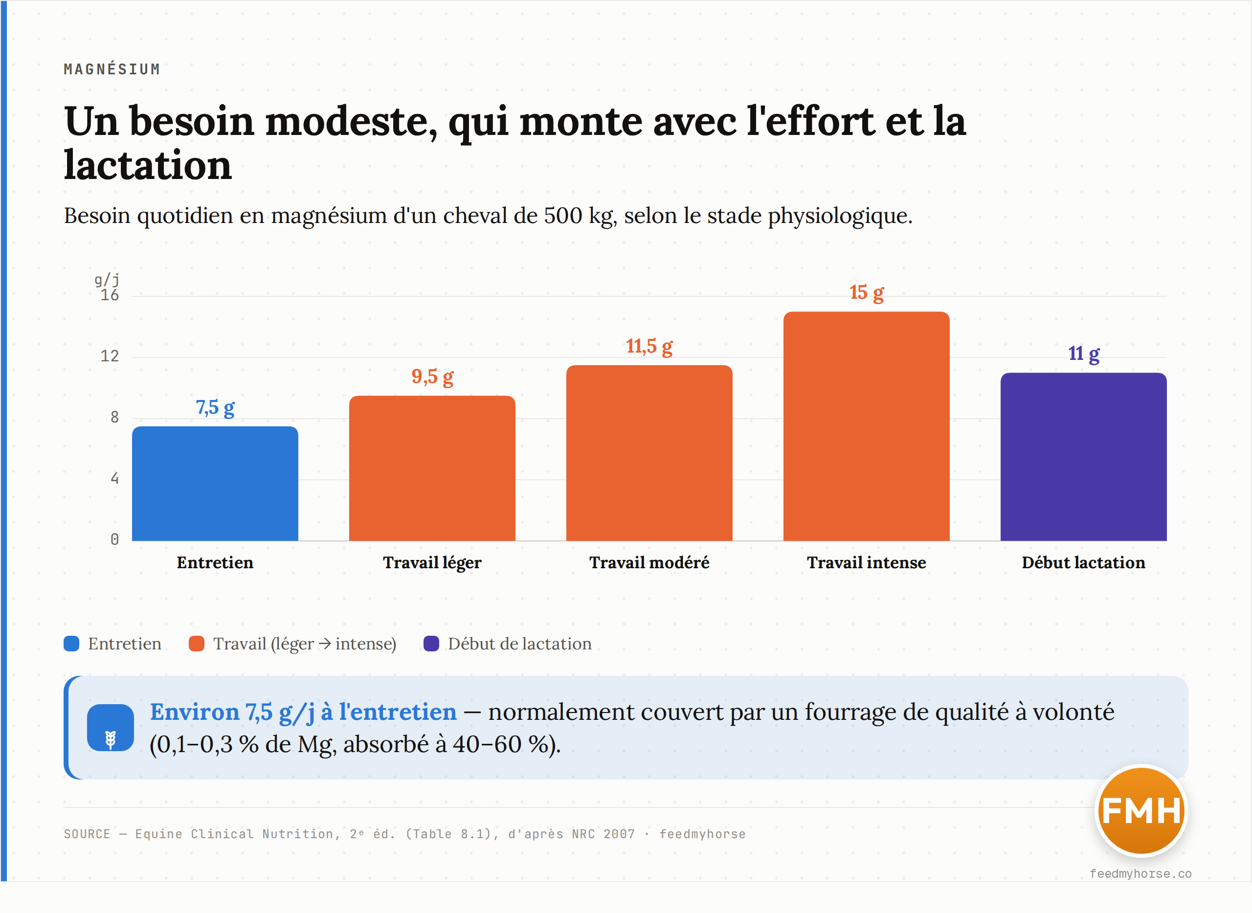 Besoin quotidien en magnésium d'un cheval de 500 kg selon le stade physiologique : environ 7,5 g à l'entretien, 9,5 g au travail léger, 11,5 g au travail modéré, 15 g au travail intense, 11 g en début de lactation. Source : Equine Clinical Nutrition (Table 8.1), d'après NRC 2007.
